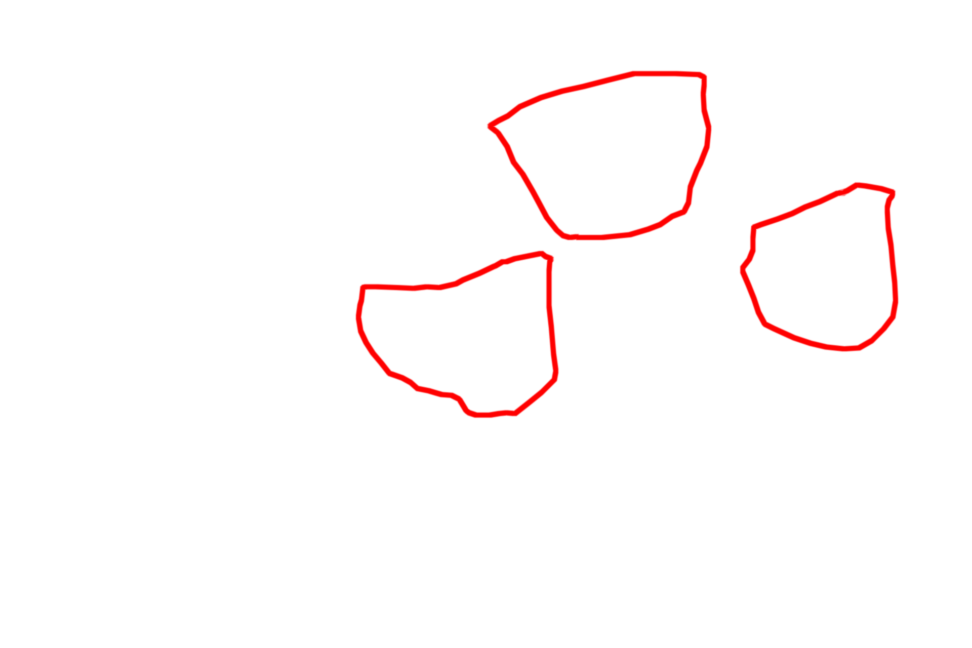 Cell outlines <p>Active cells have abundant mitochondria.  In this toluidine blue-stained section of liver, mitochondria appear as small dots or irregular shapes that are just barely visible with the light microscope.  1000x</p>

