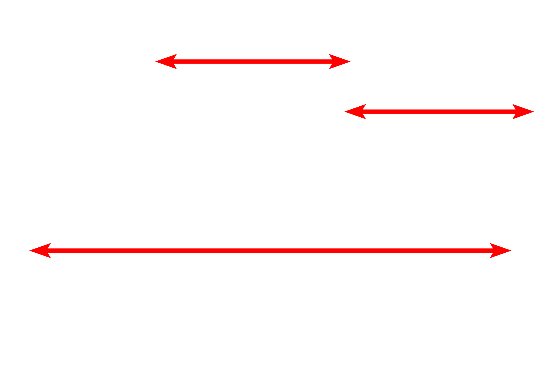 Mitochondria <p>The mitochondrion is composed of two unit membranes, the inner one of which is folded to form cristae, which project into the central matrix of the mitochondrion.  The cristae provide for increased surface area for the placement of the enzymes of the respiratory chain carrying out oxidative phosphorylation.  60,000x</p>
