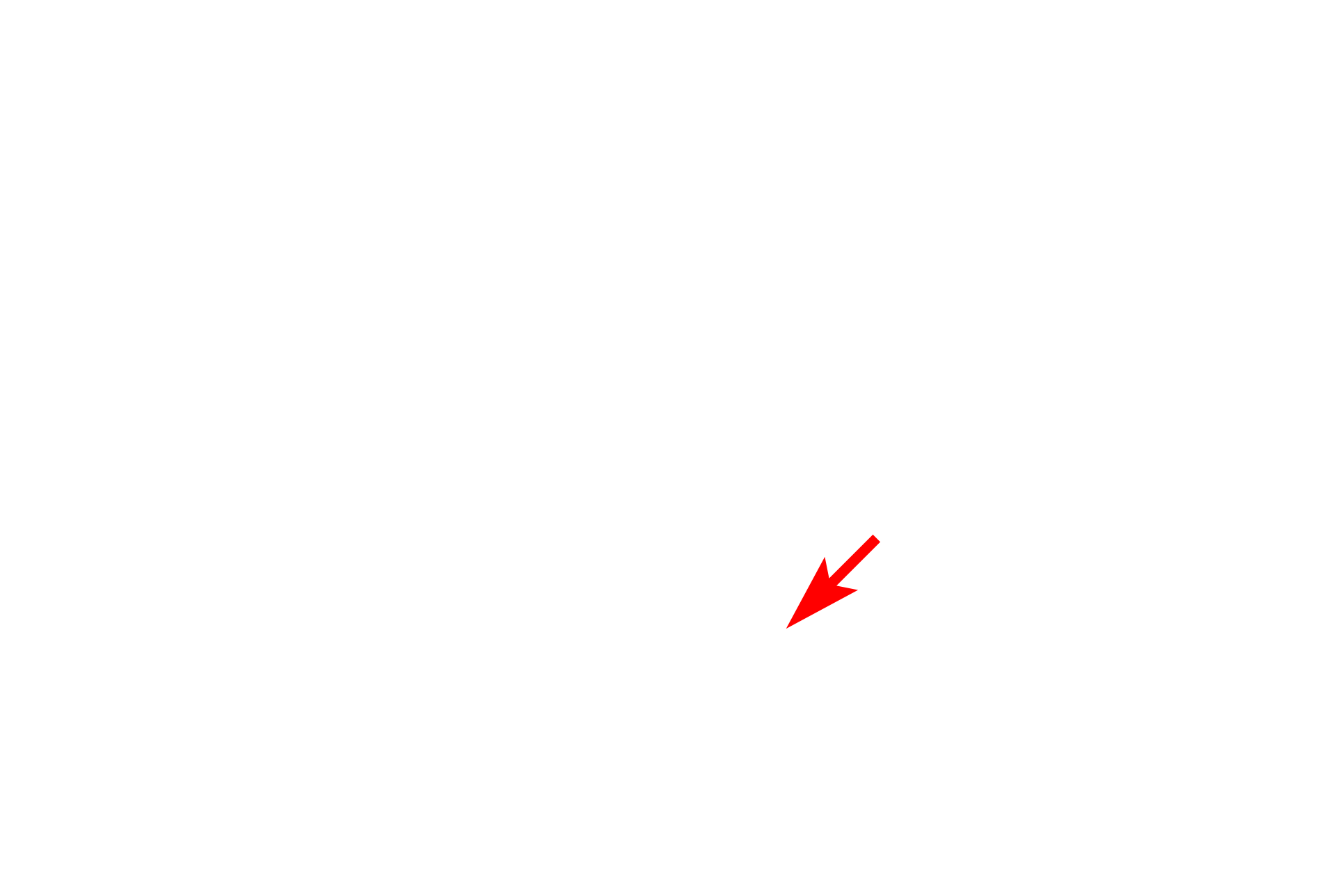  - Nucleolus <p>The nucleus is usually the most prominent structure in the cell and, in non-dividing cells, the nucleus is well demarcated from the cytoplasm by the nuclear envelope.  The nucleus houses the genomic DNA, transcribes and processes messenger RNA and contains the nucleolus, the site of ribosomal RNA production and the initial assembly of ribosomes.</p>
