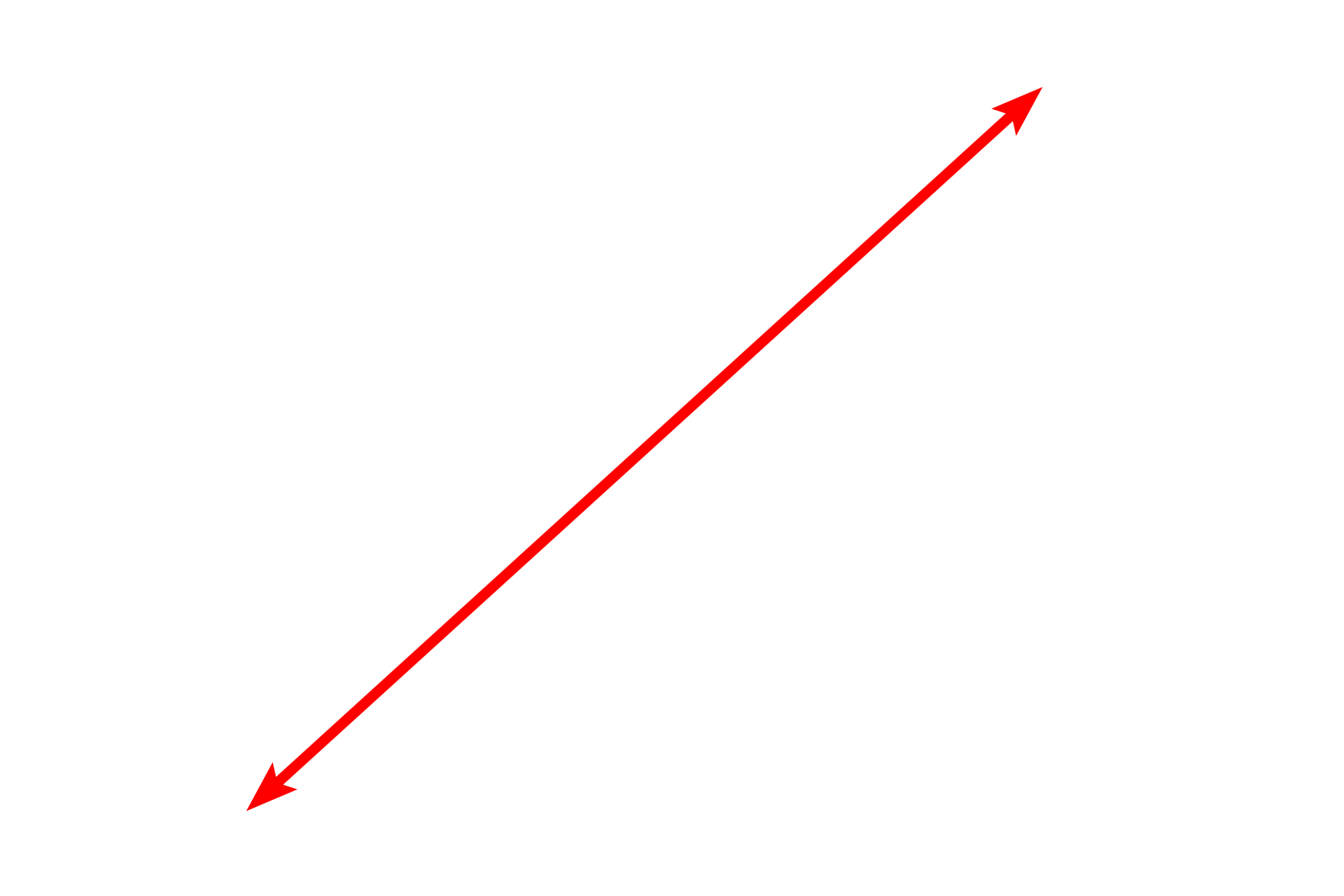 Nucleus <p>The nuclear envelope consists of two membranes, an inner and an outer nuclear membrane, which are separated by the perinuclear space.  The perinuclear space and outer nuclear envelope are continuous with the RER.  The nuclear envelope has periodic openings called nuclear pores.  10,000x</p>

