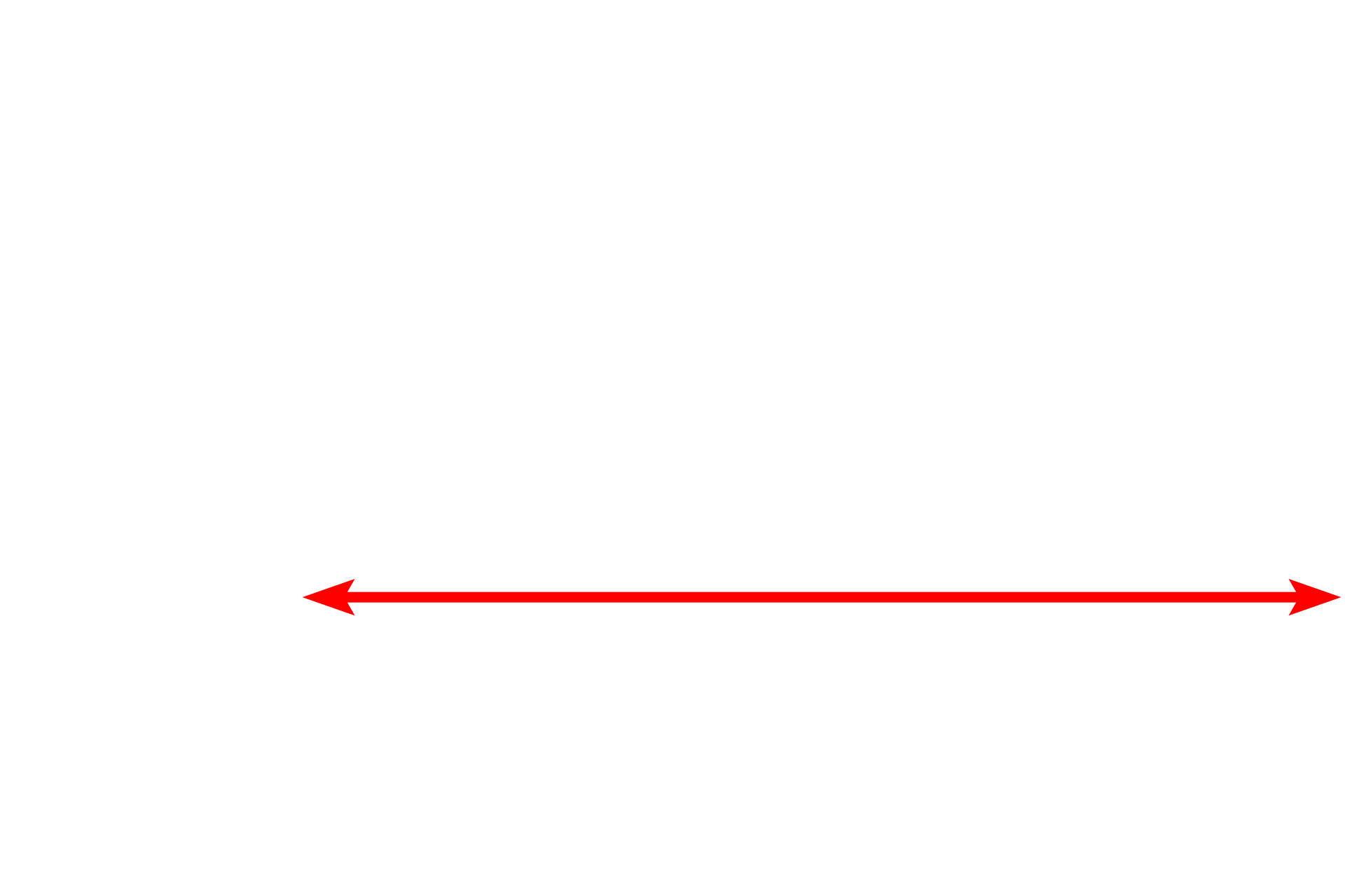Nucleus <p>This image shows the inner and outer nuclear membranes and the intervening perinuclear space.  The outer membrane possesses ribosomes and is continuous with the rough endoplasmic reticulum (RER).  30,000x</p>
