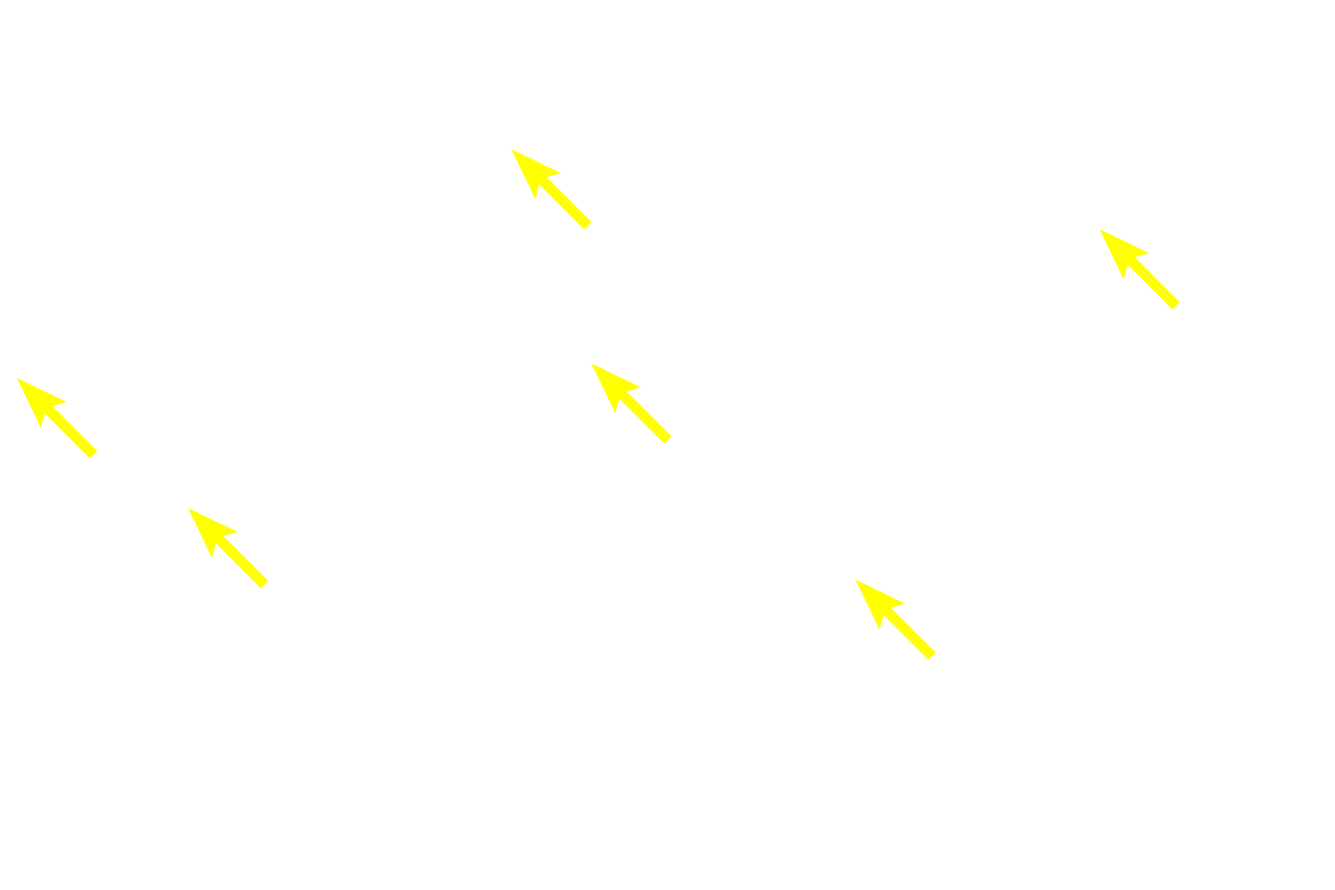 Nuclei <p>This image shows a variety of cell types in a connective tissue.  The nucleus is the most prominent structure in the cell and shows basophilic staining due to the presence of DNA.  Features such as nuclear shape, position and staining properties vary between cell types and are often used for cell identification.  In some cases, the cytoplasm of a cell is not visible.  1000x</p>
