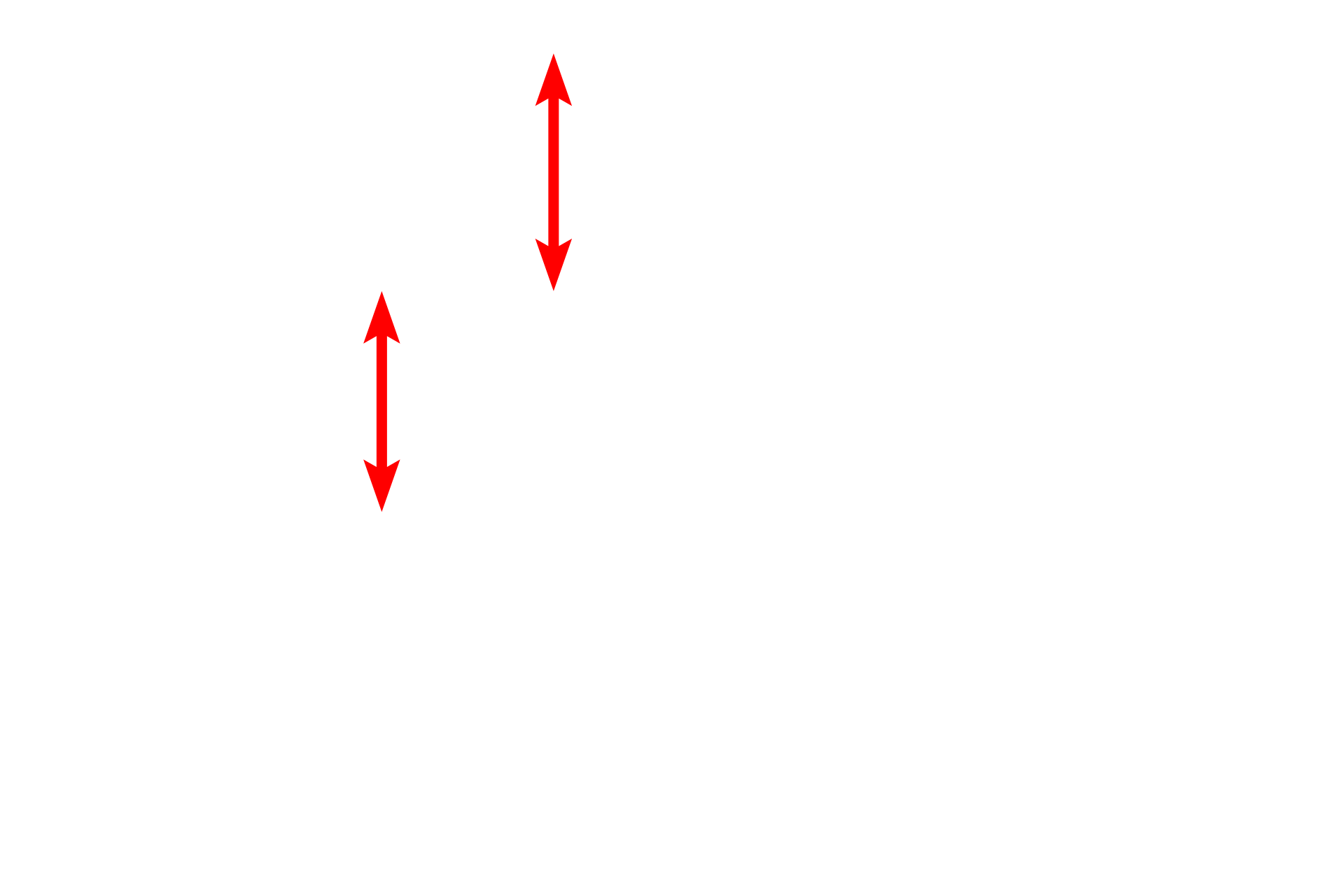 Euchromatic nuclei <p>These images contrast the appearance of chromatin at the electron microscopic level.  Euchromatin appears electron lucent (left panel) because it is dispersed and, therefore, binds less metal.  In contrast, highly condensed chromatin binds metals at high density, which produces a darker image, as seen in the right panel.  Mucus-secreting cells (L)  5000x; Fibroblast (R)  7000x</p>
