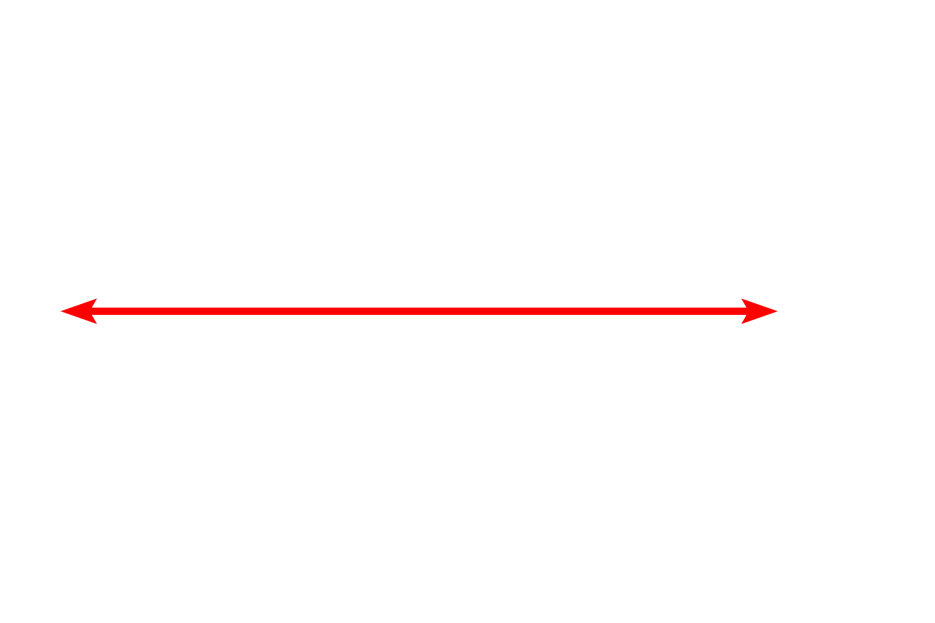 Nucleus <p>This mostly euchromatic nucleus possesses a prominent nucleolus.  A small amount of heterochromatin is present in a perinuclear distribution immediately beneath the nuclear envelope.  This is an example of a cell highly active in gene transcription.  15,000x</p>
