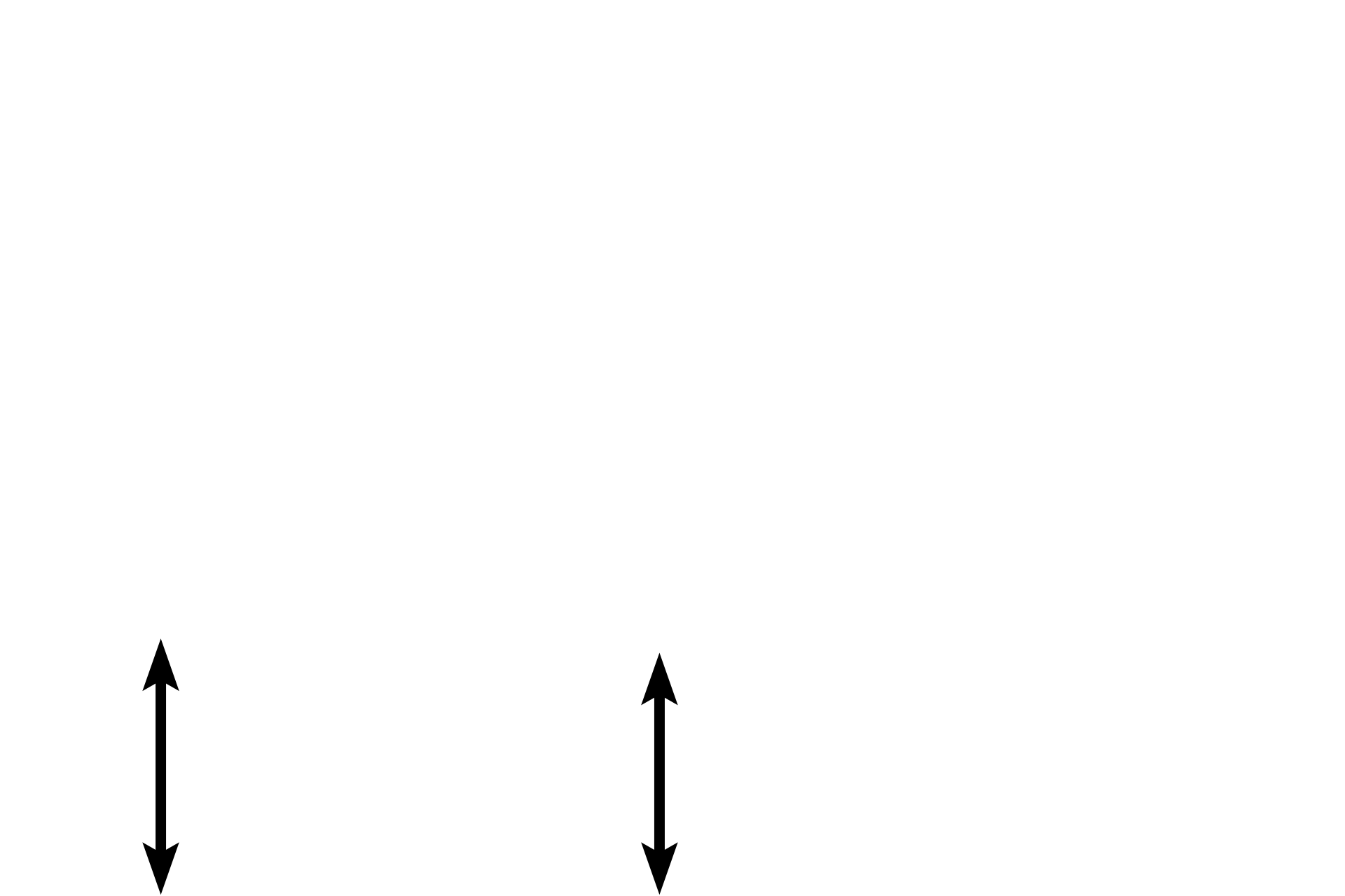 Ducts <p>These exocrine secretory cells in a salivary gland contain basophilic secretory granules.  The staining property of these granules indicates that their contents are negatively charged.  Note the eosinophilic cytoplasm of the cuboidal cells which compose the secretory ducts of the gland.  Submandibular gland  1000x</p>
