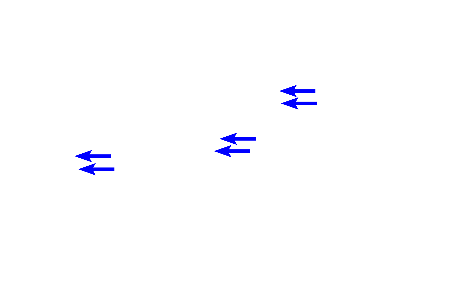  - Myofibrils <p>Cardiac muscle fibers possess many of the same components as skeletal muscle, although cardiac fibers are not as heavily striated. Myofibrils in cardiac muscle fibers contain thin and thick myofilaments that are organized and function as they do in skeletal muscle fibers. Cardiac muscle fibers differ from skeletal by having centrally-located nuclei and branching fibers.</p>
