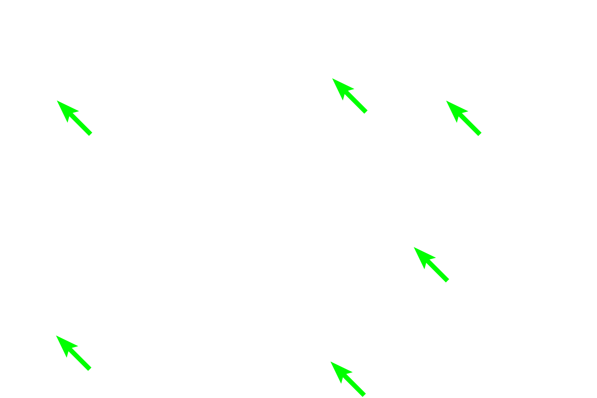 Blood vessels <p>Cardiac muscle fibers possess many of the same components as skeletal muscle, although cardiac fibers are not as heavily striated. Myofibrils in cardiac muscle fibers contain thin and thick myofilaments that are organized and function as they do in skeletal muscle fibers. Cardiac muscle fibers differ from skeletal by having centrally-located nuclei and branching fibers.</p>
