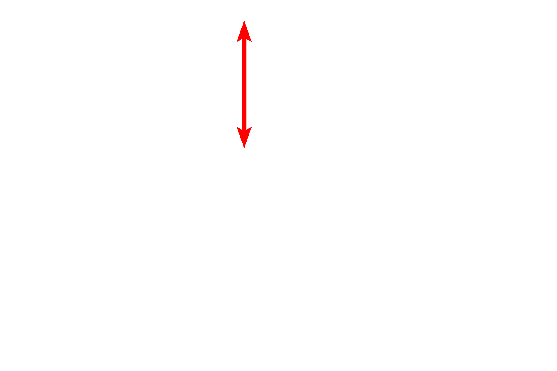Nucleus <p>The centrally located nucleus of this cardiac muscle fiber is are surrounded by myofibrils showing sarcomeres, A and I bands as well as Z and M lines. The H band is not readily apparent in this image. The alignment of the myofibrils creates the banding pattern of the entire fiber. Glycogen granules and mitochondria are also visible. 10,000x</p>
