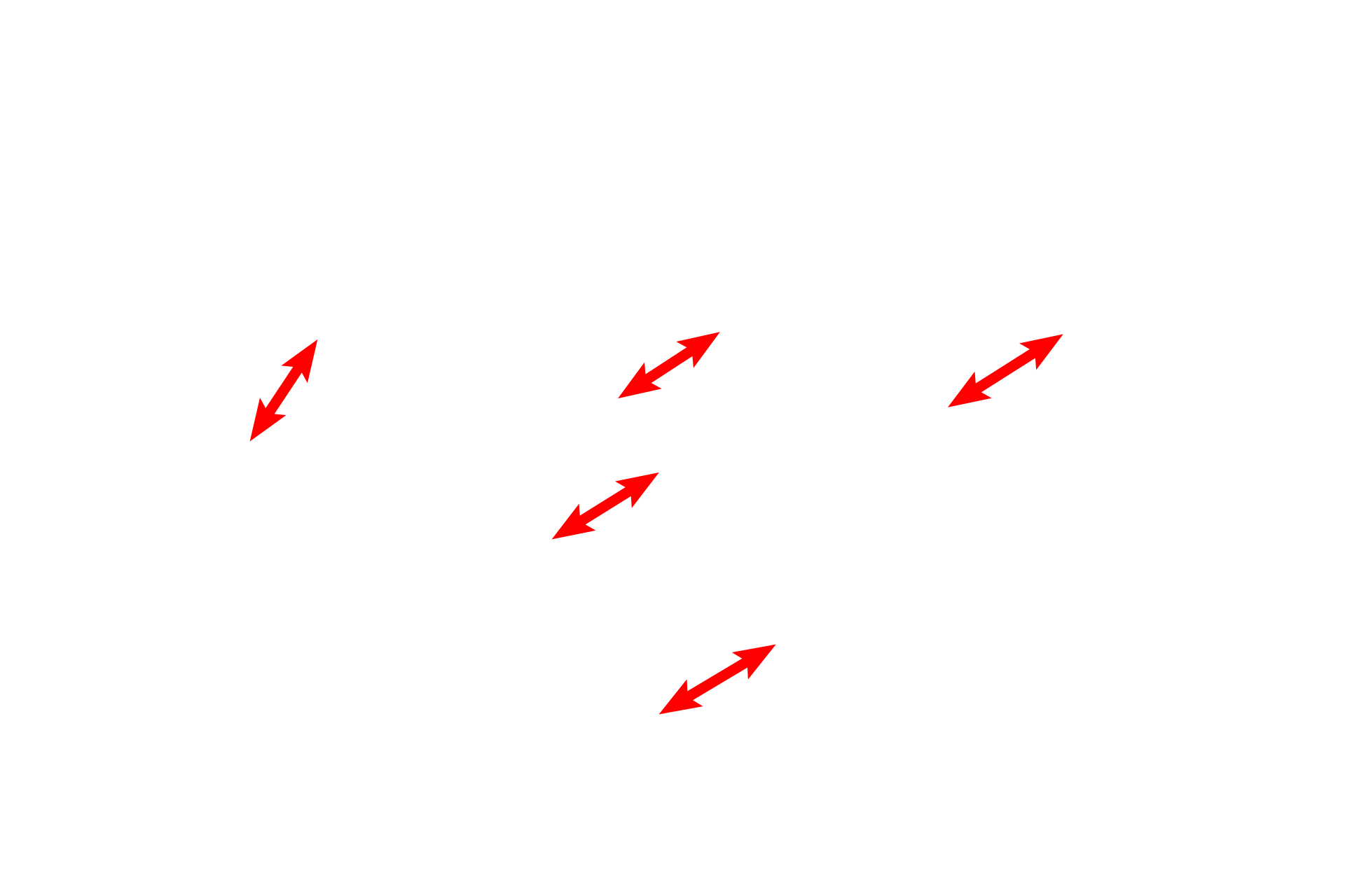 Sarcomeres <p>The centrally located nucleus of this cardiac muscle fiber is are surrounded by myofibrils showing sarcomeres, A and I bands as well as Z and M lines. The H band is not readily apparent in this image. The alignment of the myofibrils creates the banding pattern of the entire fiber. Glycogen granules and mitochondria are also visible. 10,000x</p>

