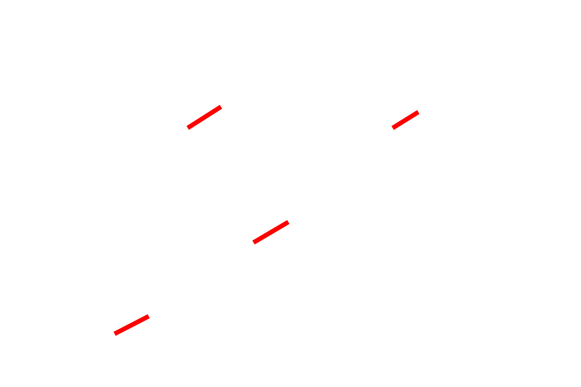  - H bands > <p>The H band contains thick myofilaments only. When the muscle is contracting, thin filaments slide past the thick filaments, thereby narrowing the H band.</p>
