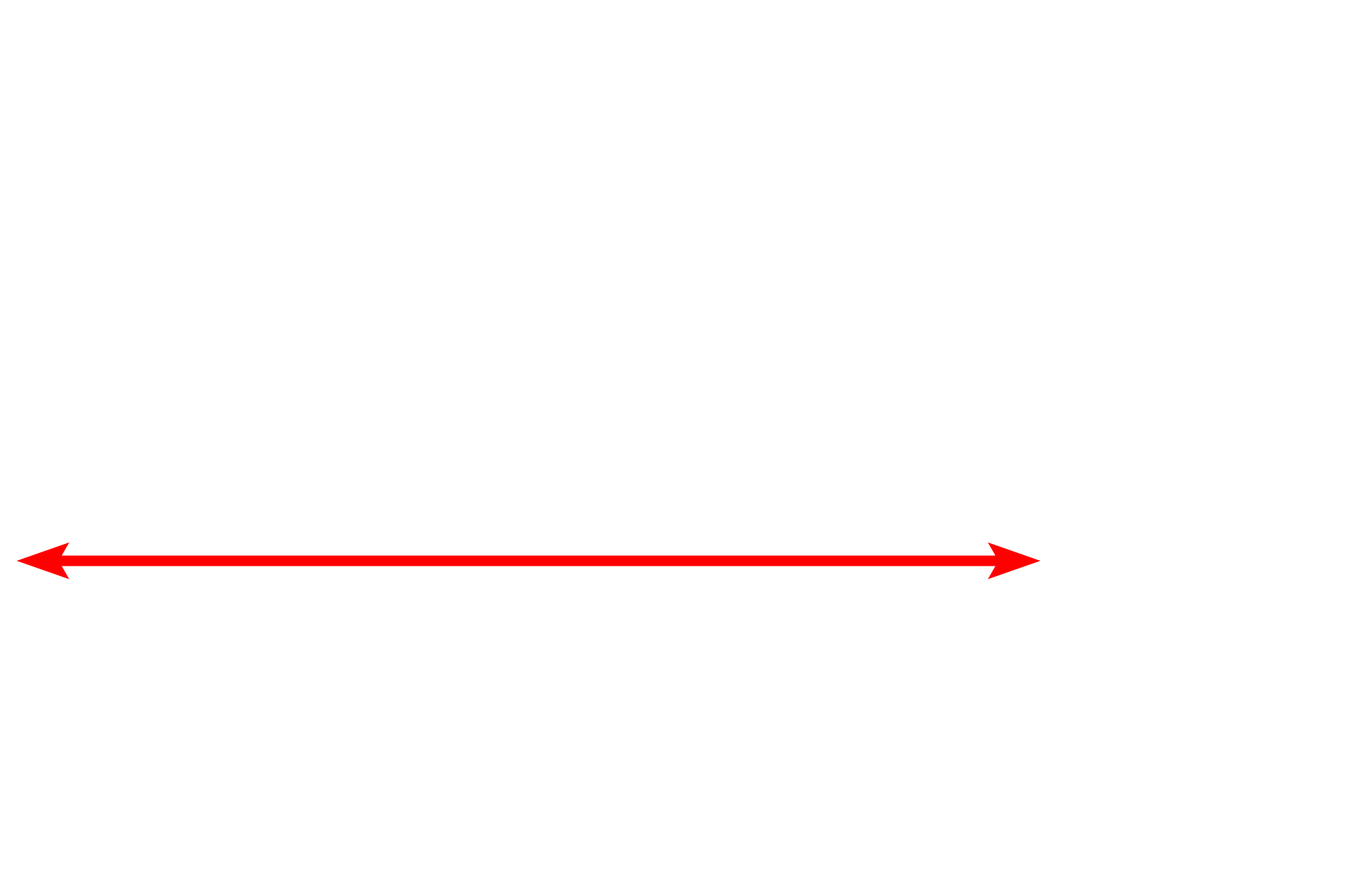 Muscle fiber <p>A cross section of a portion of a skeletal muscle fiber displays the large numbers of myofibrils filling the sarcoplasm. The single visible nucleus is located just beneath the sarcolemma. Each muscle fiber secretes its own external lamina, which surrounds the entire cell. 10,000x</p>

