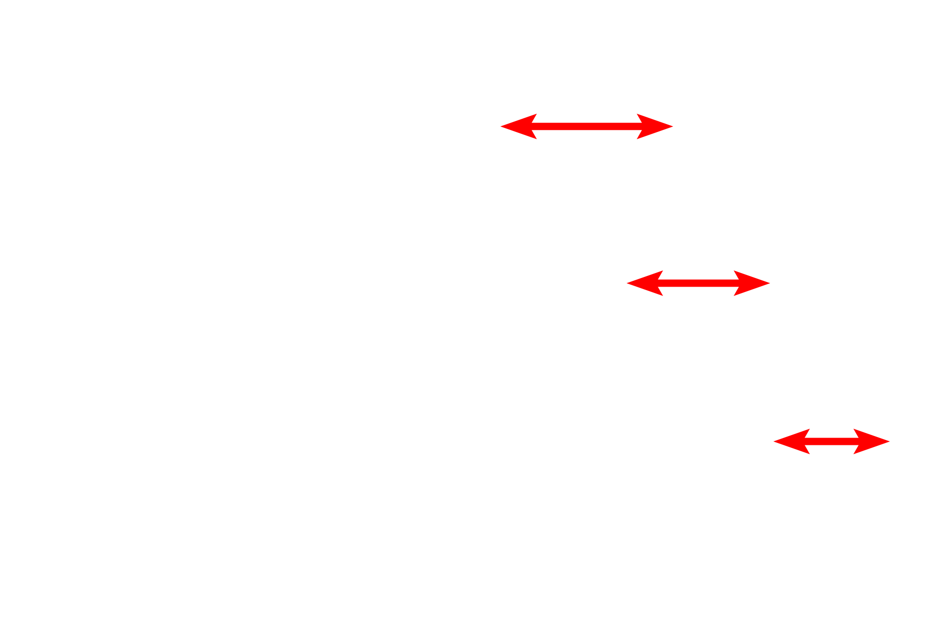 Endomysium <p>A cross section of a portion of a skeletal muscle fiber displays the large numbers of myofibrils filling the sarcoplasm. The single visible nucleus is located just beneath the sarcolemma. Each muscle fiber secretes its own external lamina, which surrounds the entire cell. 10,000x</p>
