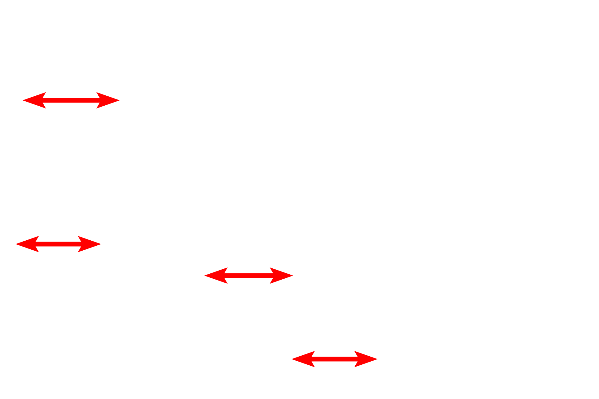 Myofibrils <p>A cross section of a portion of a skeletal muscle fiber lies adjacent to a capillary. Note the large numbers of mitochondria, as well as myofibrils composed of myofilaments. Nuclei are located around the periphery of the fiber just beneath the sarcolemma. 12,000x</p>

