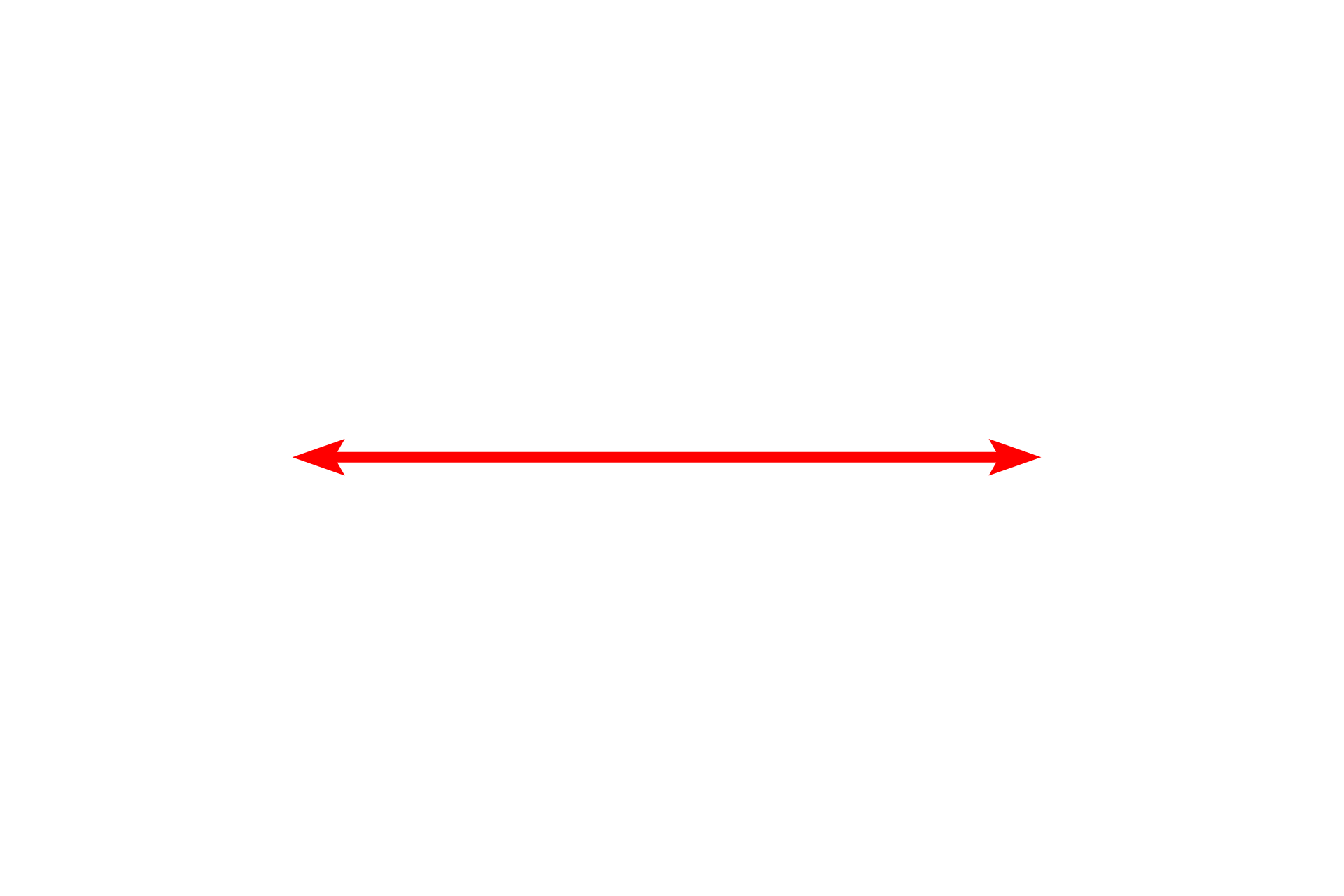 Myofibril <p>Several myofibrils and the myofilaments that comprise them demonstrate the highly ordered arrangement of the thin myofilaments surrounding the thick myofilaments. Though not well preserved in this tissue, the sarcoplasmic reticulum (comparable to endoplasmic reticulum) is present around the periphery of the myofibril. 40,000x</p>
