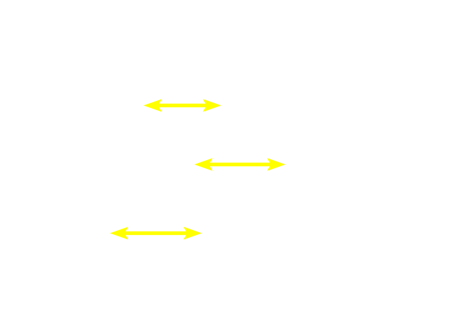 Muscle fibers > <p>Skeletal muscle fibers constitute the largest muscle fiber type.  They are long, uniform cylinders with multiple, peripheral nuclei.  Developmentally, these fibers form by the fusion of many myoblasts, producing a very large, single cell with multiple nuclei.  Such a cell is referred to as a syncytium. Myofibrils containing the contractile myofilaments fill the cytoplasm.</p>
