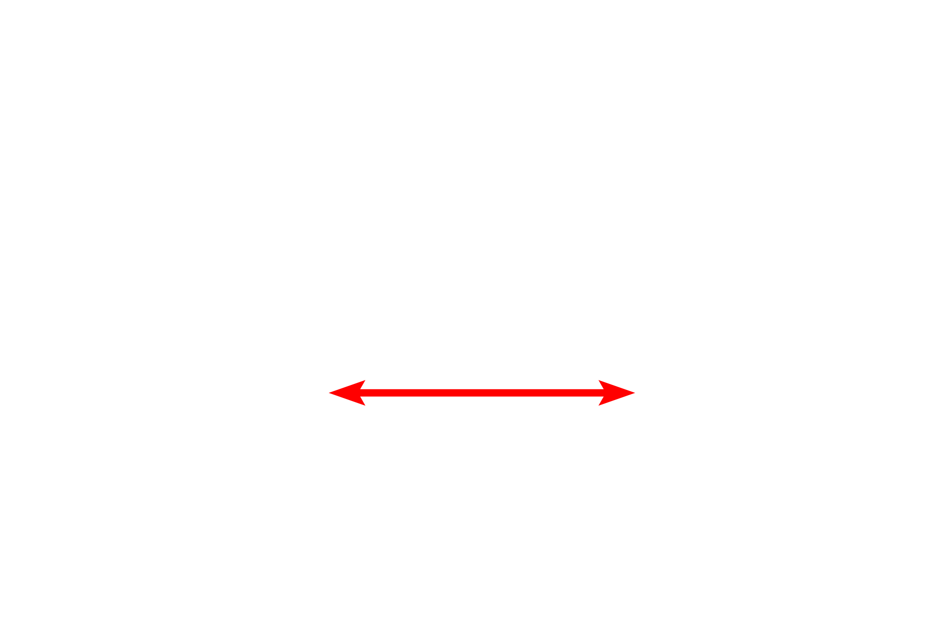 Nucleus <p>The myofilaments of smooth cell fibers are not organized into myofibrils; instead, the overlapping thick and thin filaments form a reticulum within the sarcoplasm.  Actin filaments are anchored in dense bodies, which represent Z lines of striated muscle.  Dense bodies are located both in the sarcoplasm and beneath the sarcolemma.  7000x</p>
