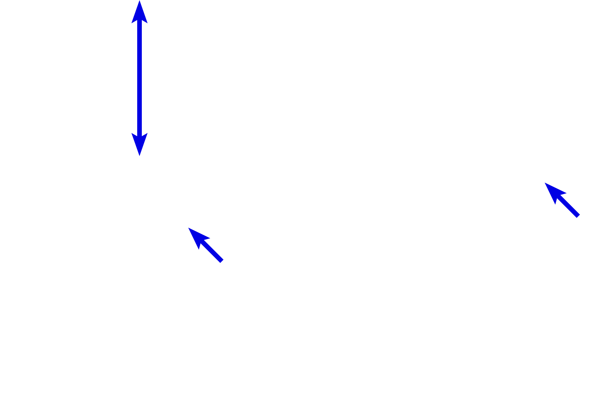 Connective tissue <p>Smooth muscle fibers and skeletal muscle fibers occur together in the middle part of the esophagus.  In this field, compare the size of the fibers and location of the nuclei for these two muscle types.  Smooth muscle fibers are much smaller with a single, centrally located nucleus.  Skeletal muscle fibers are larger with multiple, peripherally located nuclei.  1000x</p>
