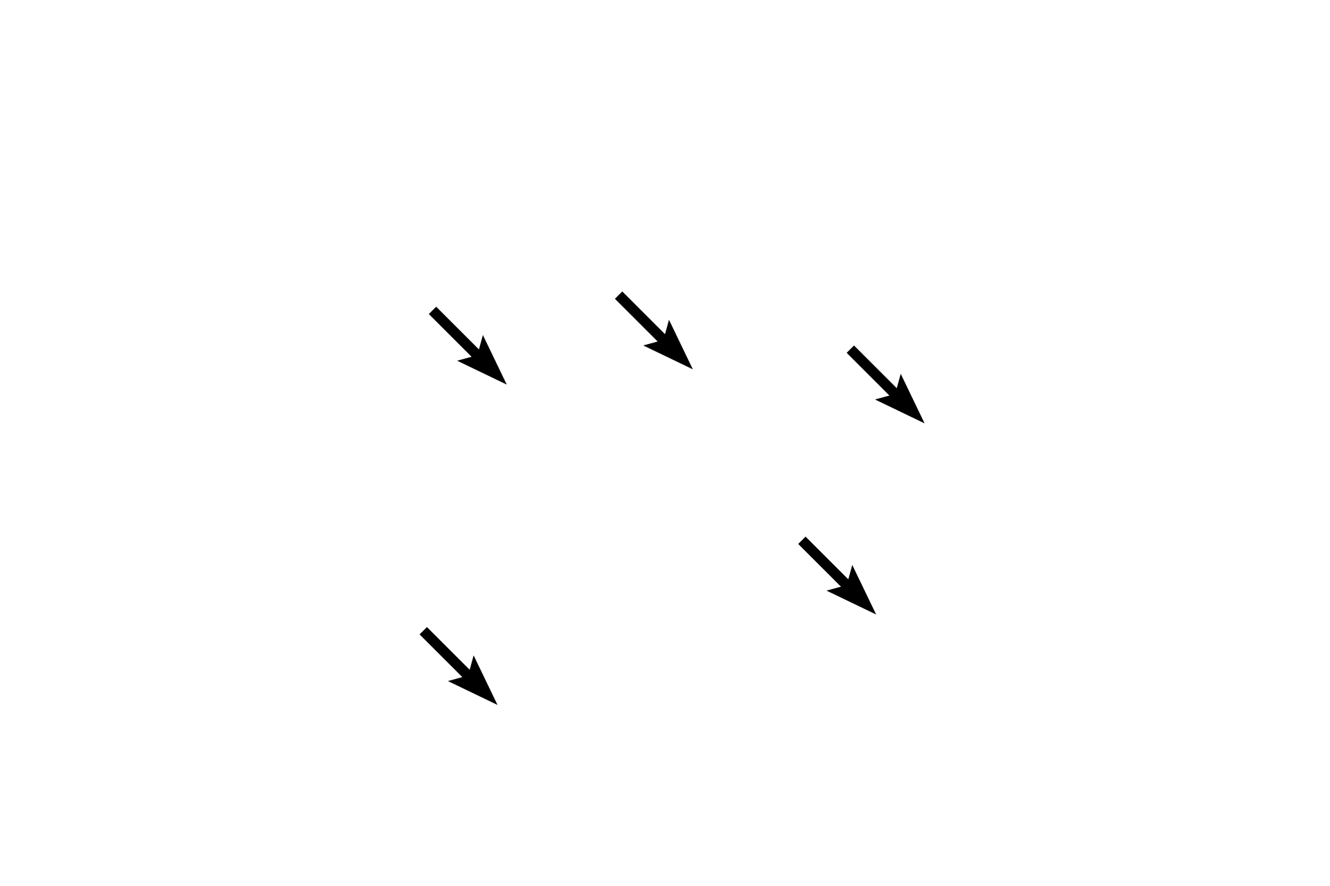 Sarcolemma <p>The diameter of smooth muscle fibers varies in cross section because the fibers are cut at different locations along these spindle-shaped fibers.  In addition, since the nucleus is located midway along the fiber, most cross sections of fibers will not pass through the nucleus.  1000x</p>

