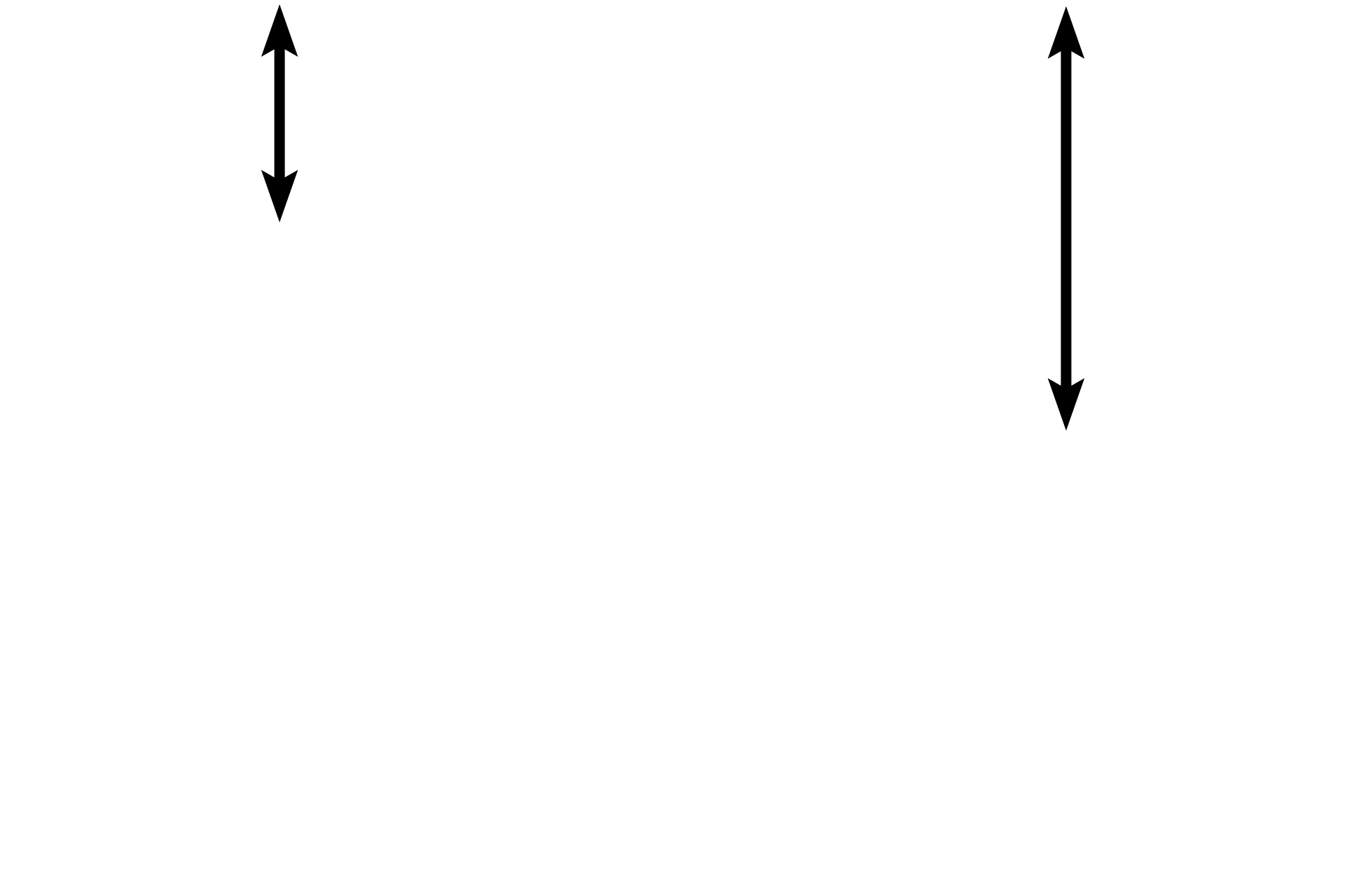 Muscle fibers, longitudinal section <p>Between these cross and longitudinal sections of smooth muscle is a region of dense irregular CT containing large collagen bundles.  When compared with smooth muscle, the CT appears more dispersed, and the heterochromatic fibroblast nuclei contrast with the active, euchromatic muscle nuclei.  Smooth muscle is also more basophilic.  1000x</p>
