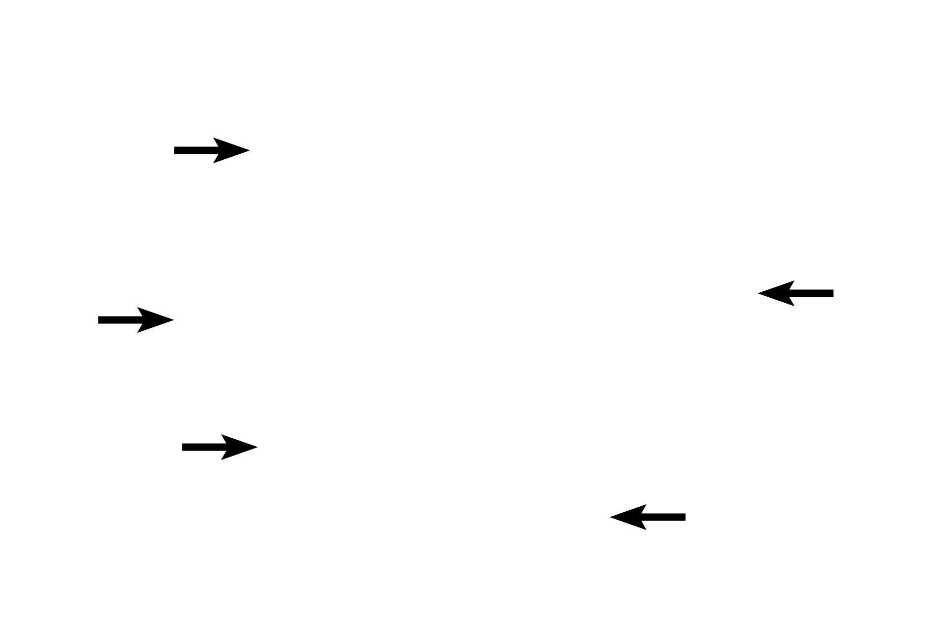 Nerve roots <p>The arachnoid is a delicate layer lying adjacent to the dura mater.  It sends weblike trabeculae through the subarachnoid space to the pia mater.  The subarachnoid space is filled with cerebrospinal fluid, providing a cushion for the brain or spinal cord.  Cranial and spinal nerve roots and blood vessels travel through this space.</p>
