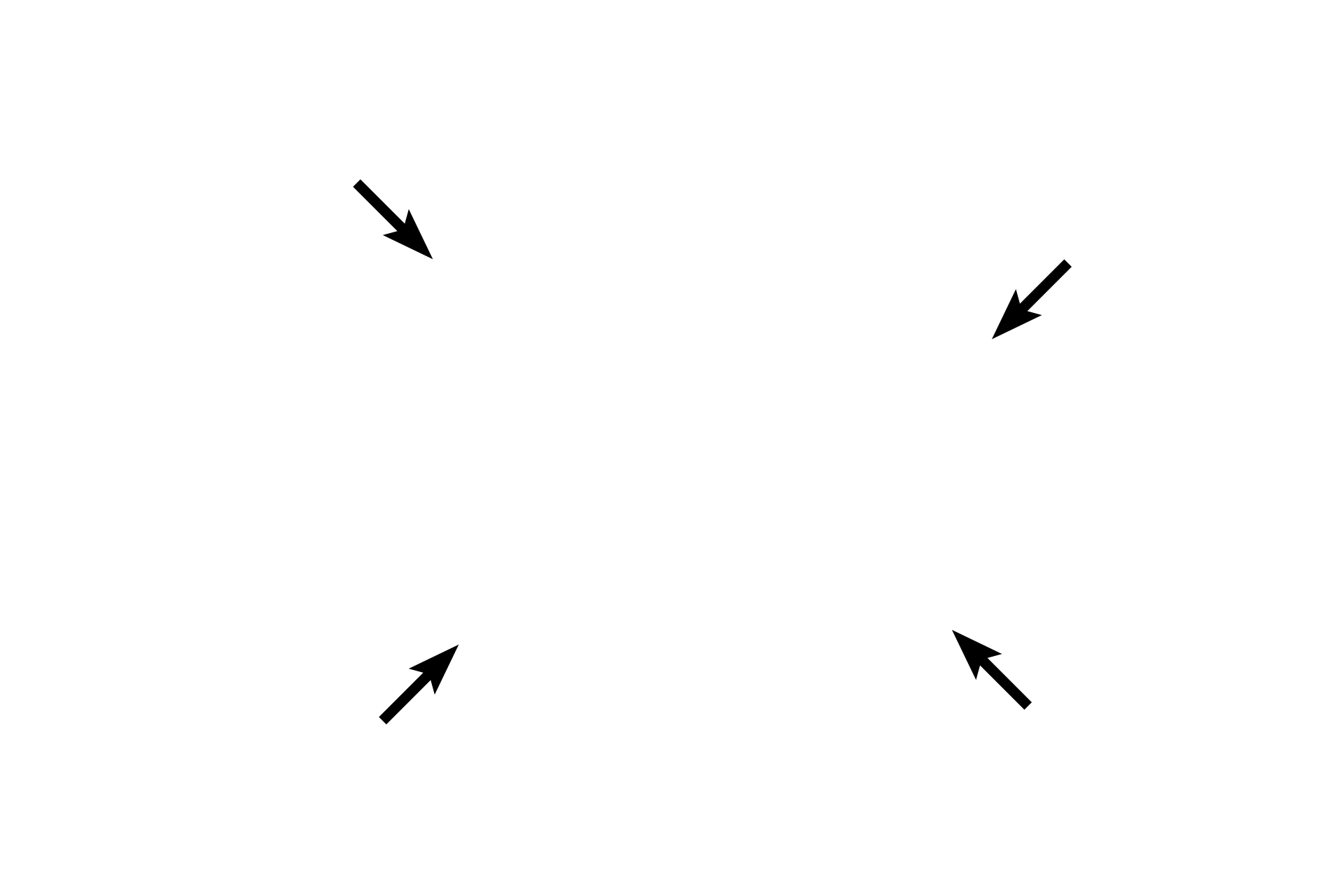 Pia mater > <p>The pia mater, a delicate layer lying directly on the surface of the brain or spinal cord, is continuous with the perivascular connective tissue accompanying blood vessels into the brain.</p>
