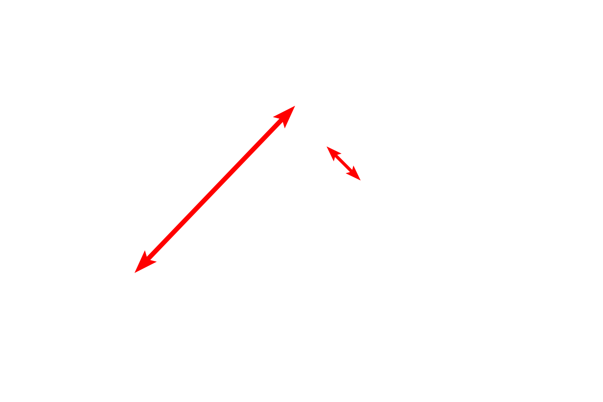 Pia mater <p>This section shows the surface of a neonatal rat spinal cord and the surrounding pia mater.  The dura mater and arachnoid layers have been removed.  The pia mater lies directly on the surface of the spinal cord and accompanies blood vessels that penetrate the neural tissue.  The pia is thicker in the neonate (shown here) than it will be in the adult.  400x</p>
