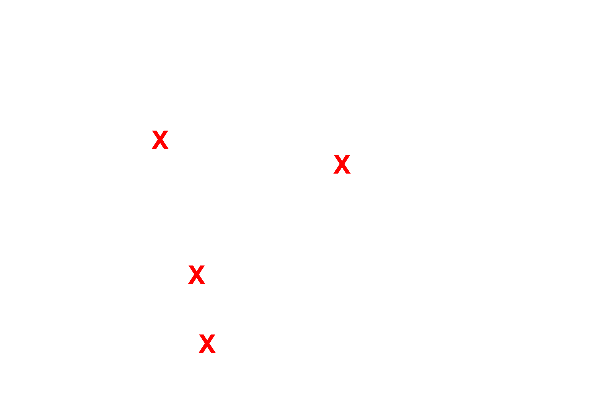 Blood vessels <p>This section shows the surface of a neonatal rat spinal cord and the surrounding pia mater.  The dura mater and arachnoid layers have been removed.  The pia mater lies directly on the surface of the spinal cord and accompanies blood vessels that penetrate the neural tissue.  The pia is thicker in the neonate (shown here) than it will be in the adult.  400x</p>
