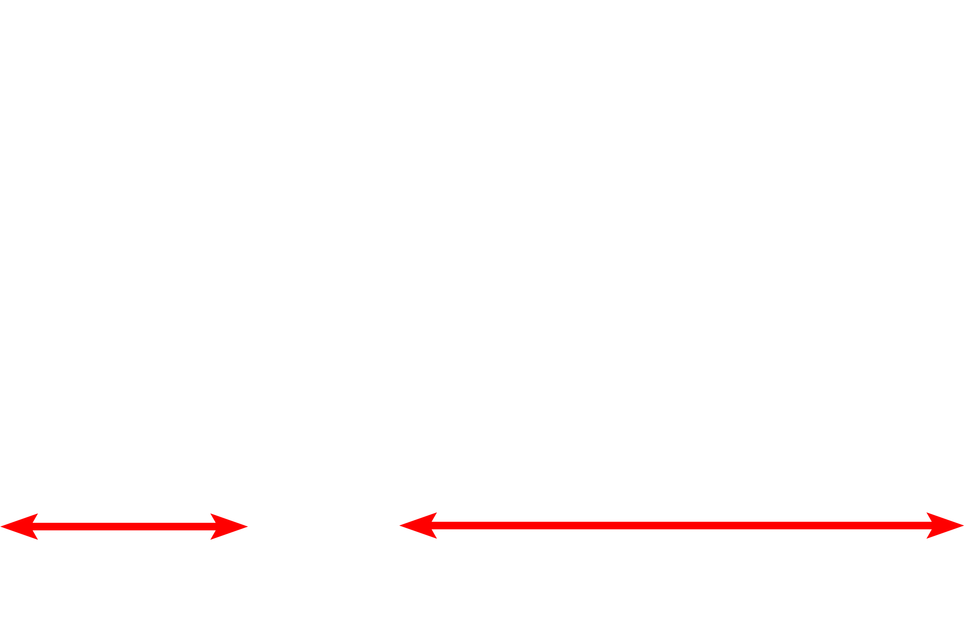 Spinal cord <p>This section shows the surface of a neonatal rat spinal cord and the surrounding pia mater.  The dura mater and arachnoid layers have been removed.  The pia mater lies directly on the surface of the spinal cord and accompanies blood vessels that penetrate the neural tissue.  The pia is thicker in the neonate (shown here) than it will be in the adult.  400x</p>
