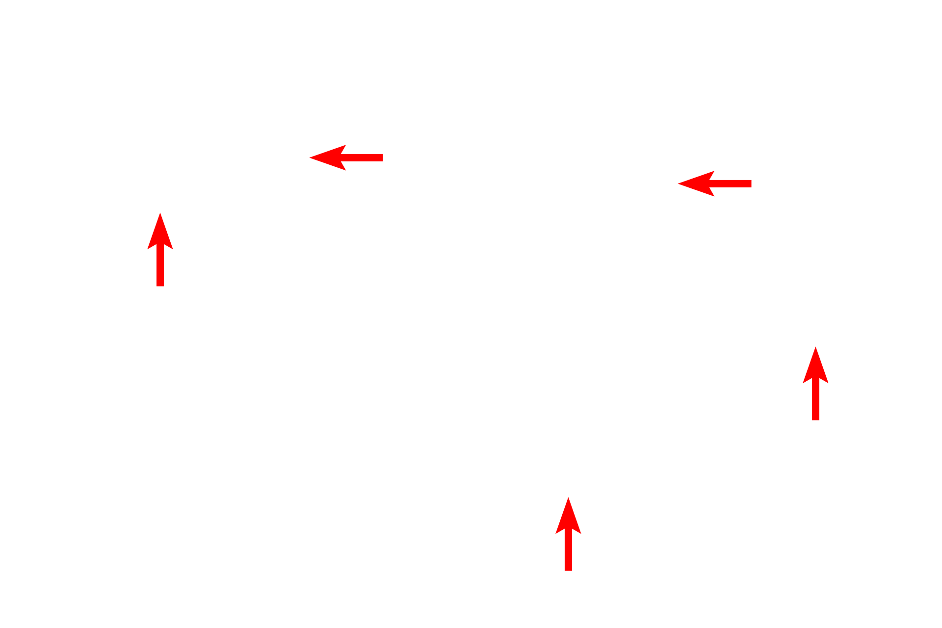 Dendrites > <p>Most neurons have multiple dendrites, which have a cytoplasm similar to that of the cell body.  Dendrites are usually short and branch frequently, tapering as they do so.  The large surface area of dendrites enables them to make synaptic contact with numerous axon terminals.  Dendrites transmit impulses toward the cell body.</p>
