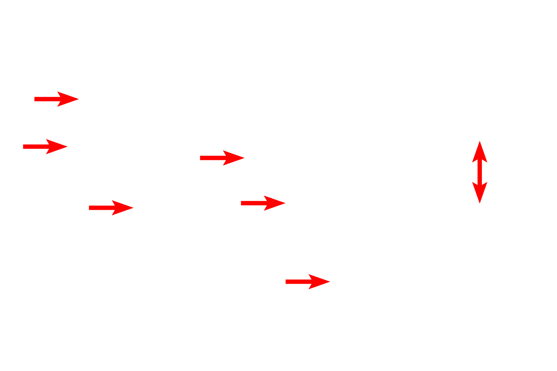 Myelinated axons > <p>These cross sections of peripheral nerves show axons surrounded by myelin sheaths produced by Schwann cells.  A Schwann cell produces a single internodal segment of myelin, formed by concentric wrappings of its plasma membrane around the axon.  This membrane wrapping is uniquely rich in lipid, which provides the myelin with its insulating ability.</p>
