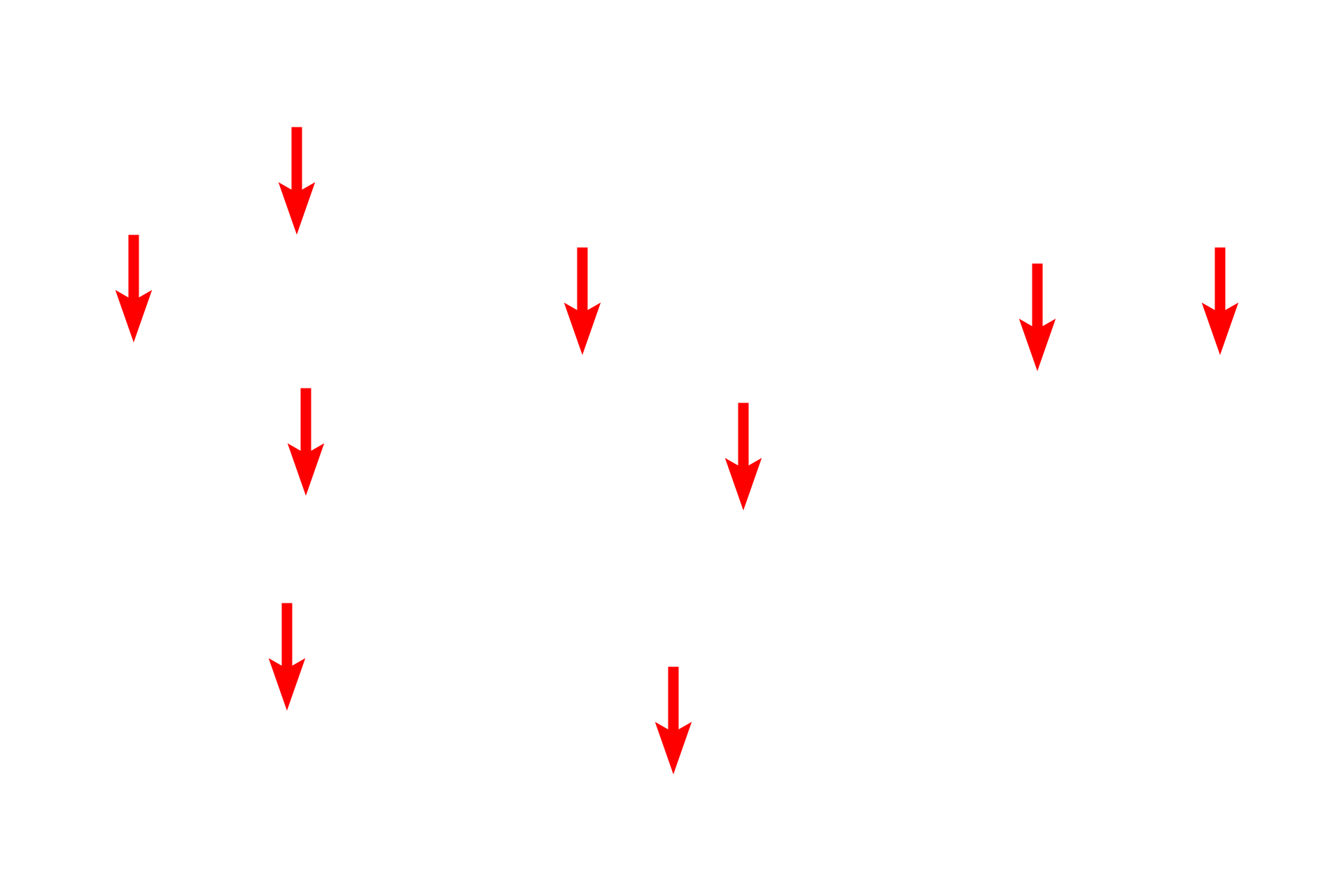 Myelin sheath <p>These cross sections of peripheral nerves show axons surrounded by myelin sheaths produced by Schwann cells.  A Schwann cell produces a single internodal segment of myelin by concentric wrapping of its plasma membrane around the axon.  This membrane wrapping is uniquely rich in lipid, which provides the myelin with its insulating ability.</p>

