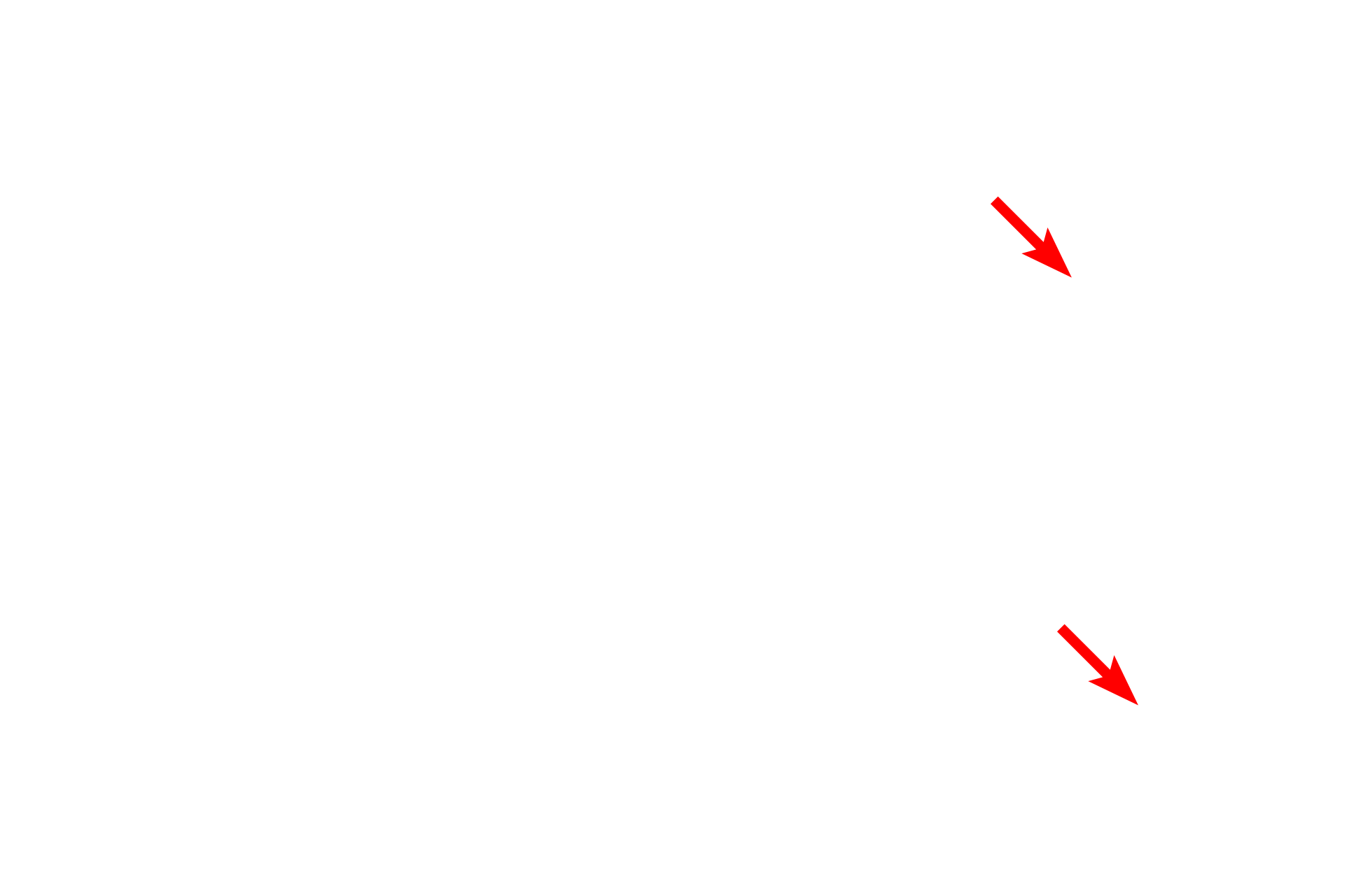 Oligodendrocytes > <p>Like Schwann cells, oligodendrocytes consist of two types, interfascicular and satellite.  Interfascicular oligodendrocytes produce the myelin sheath in the central nervous system.  Satellite oligodendrocytes are located in the grey matter adjacent to neuronal cell bodies.  Their function is unclear.</p>
