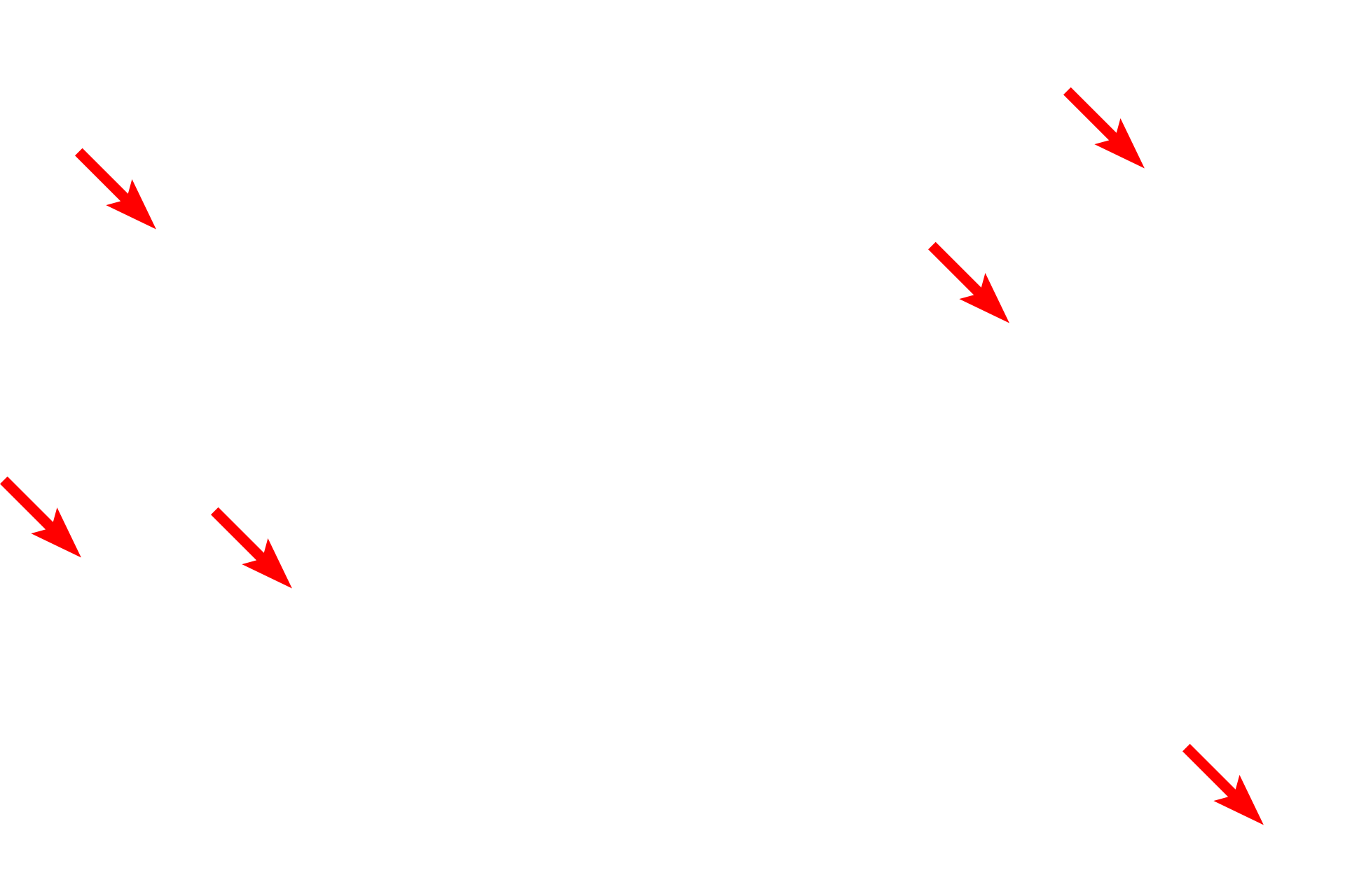 Myelin sheath <p>Like Schwann cells, oligodendrocytes consist of two types, interfascicular and satellite.  Interfascicular oligodendrocytes produce the myelin sheath in the central nervous system.  Satellite oligodendrocytes are located in the grey matter adjacent to neuronal cell bodies.  Their function is unclear.</p>
