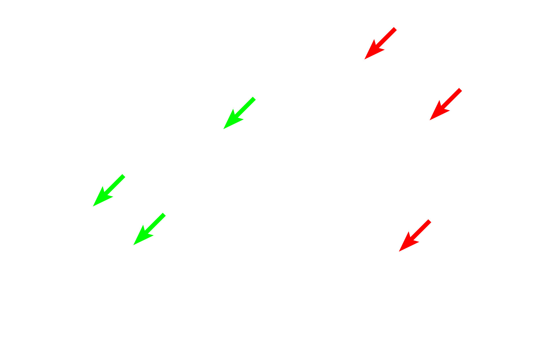 Unmyelinated axons <p>These cross sections of peripheral nerves contain unmyelinated axons.  Each nerve is surrounded by a distinct perineurium.  1000x, 3000x</p>
