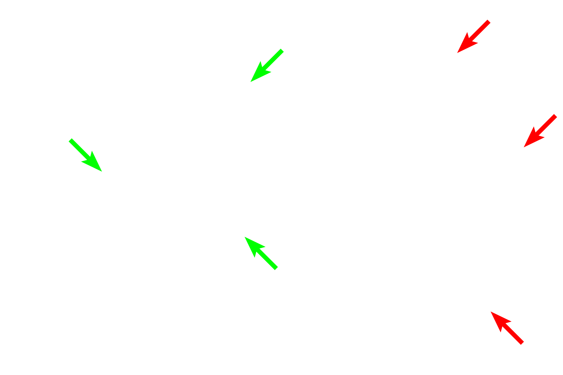 Perineurium > <p>The perineurial cells form a compact wrapping around fascicles.  The cells of the perinerium are highly unique and contribute to the formation of the protective blood-nerve barrier.  They are distinct from fibroblasts which can be found within the fascicle where the secrete collagen fibrils.</p>
