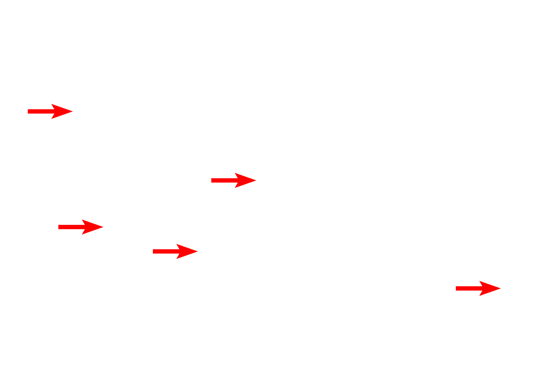Myelinated axons > <p>Axons in the peripheral nervous system that possess a myelin sheath are usually larger than one micron in diameter.  The thickness of the myelin sheath is proportional to the diameter of the axon.  Myelin is composed of concentric wrappings of the Schwann cell plasma membrane.  Each Schwann cell associates with one axon to produce a single internodal segment of myelin.</p>
