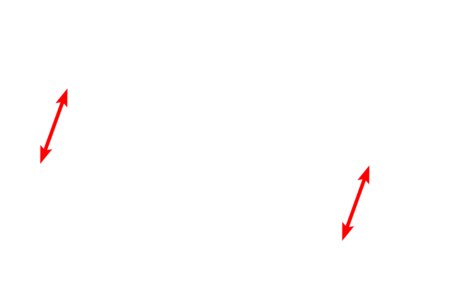 Axon <p>This electron micrograph shows a longitudinal section of a myelinated axon in the region of the node of Ranvier.  Myelin internodes terminate on either side of the node in a region called the paranode, corresponding to the position of paranodal loops.  40,000x</p>
