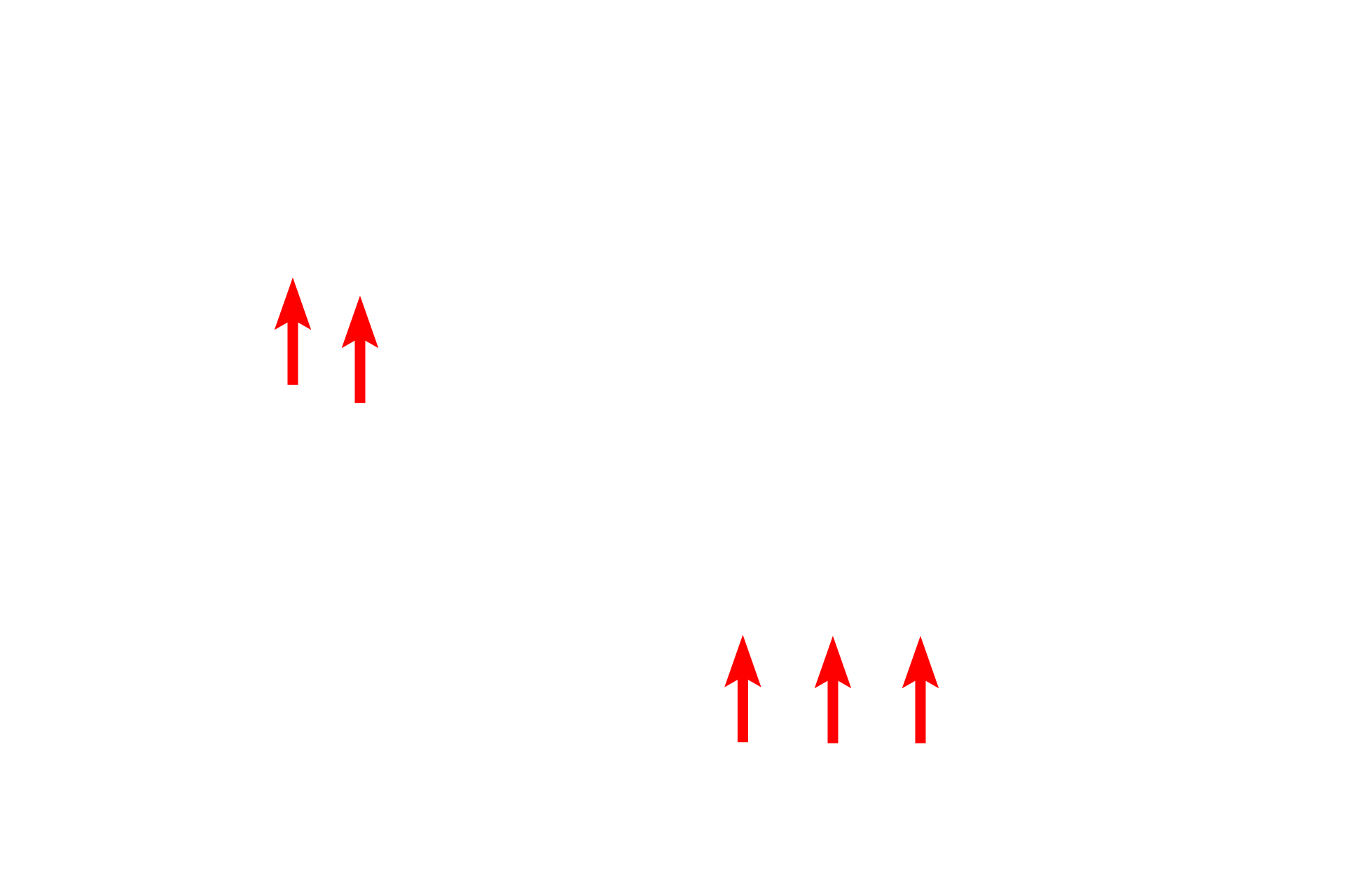  - Postsynaptic density > <p>After the neurotransmitter diffuses across the synaptic cleft, it binds to receptors clustered in the plasma membrane of the postsynaptic neuron immediately opposite the presynaptic terminal.  This region of the neuron is called the postsynaptic density.  Binding of neurotransmitter to these receptors results in local changes in the membrane potential of the postsynaptic neuron.</p>
