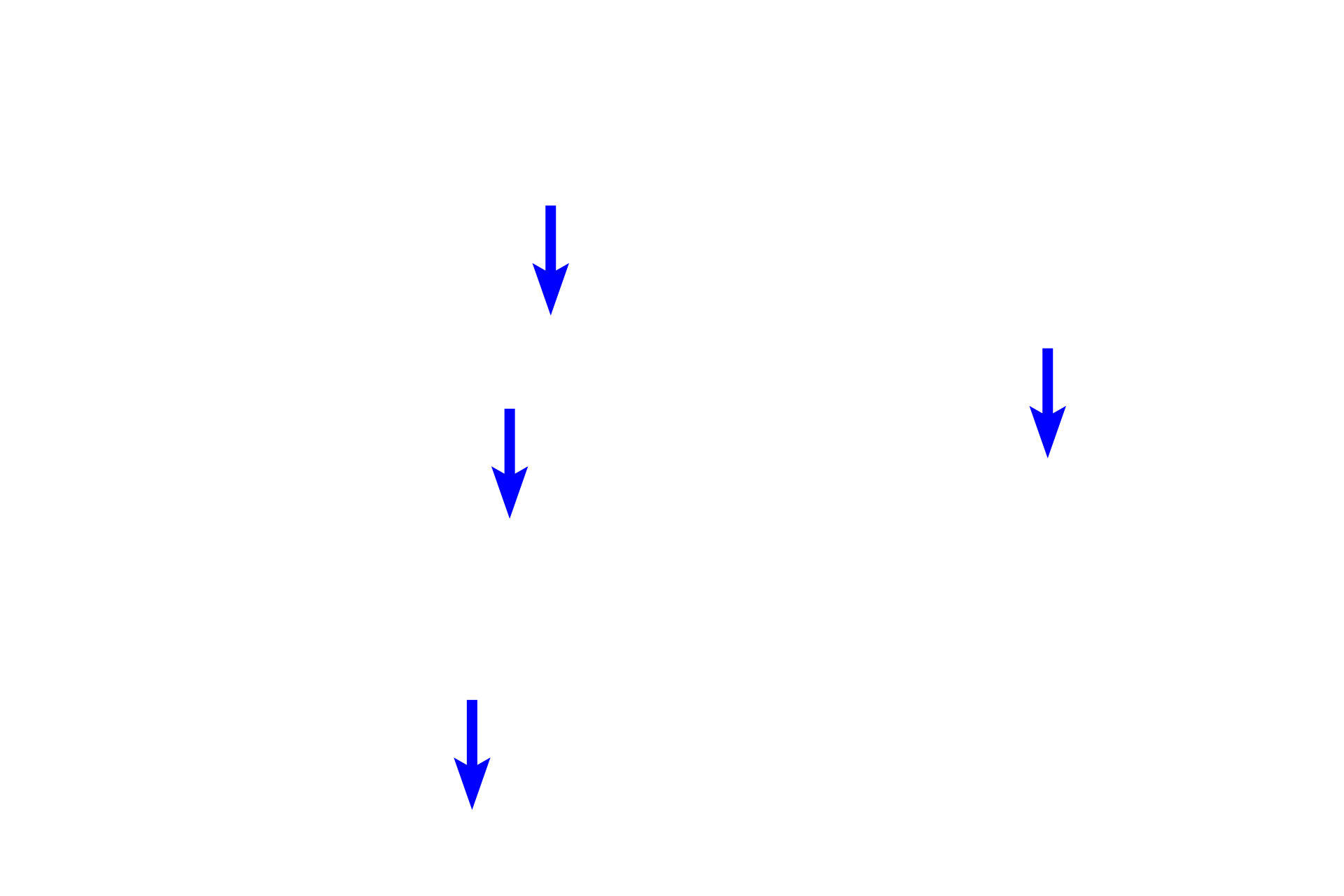 Myelinated axons <p>Interfascicular oligodendrocytes, the second type, form the myelin sheath around axons in the CNS.  Oligodendrocytes have small, dark nuclei compared with the larger, paler nuclei of fibrous astrocytes; the processes of both cells are not seen with routine staining.  1000x</p>
