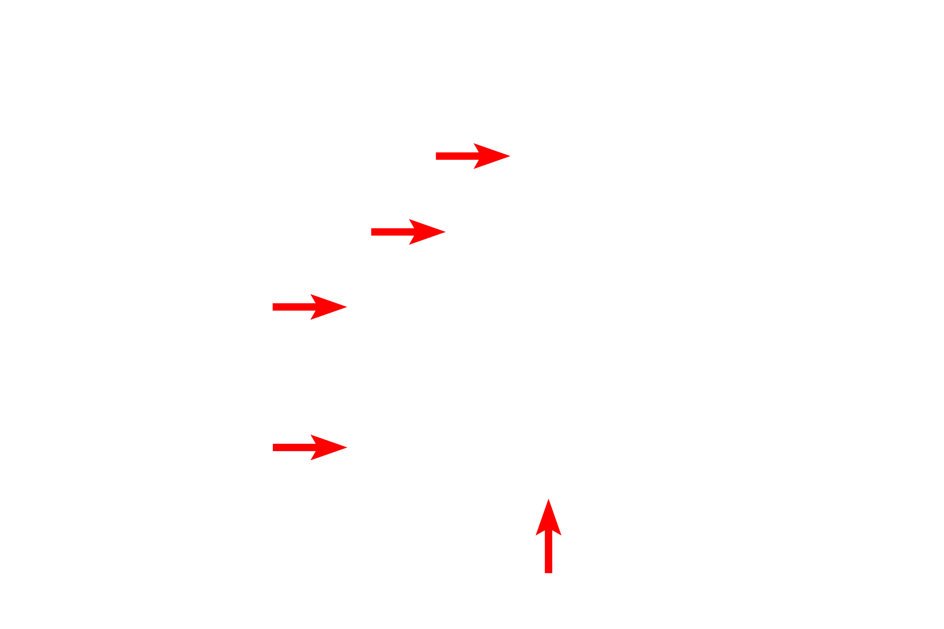 Schwann cell plasma membrane <p>Non-myelinating Schwann cells ensheath multiple unmyelinated axons.  These axons indent the surface of the Schwann cell and become invested by a single wrap of Schwann cell plasma membrane.  40,000x</p>
