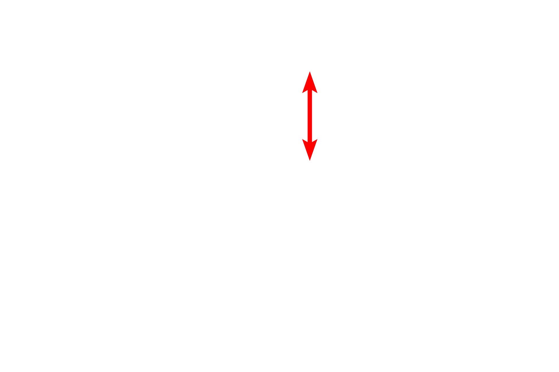 Axon <p>One Schwann cell forms a segment, called an internode, of a myelin sheath around a portion of an axon.  The myelin sheath is formed by continuous, multiple wrappings of a Schwann cell plasma membrane, producing a lipid-rich insulation that increases conduction speed of nerve impulses.  The space between adjacent internodes is the node of Ranvier.  15,000x</p>
