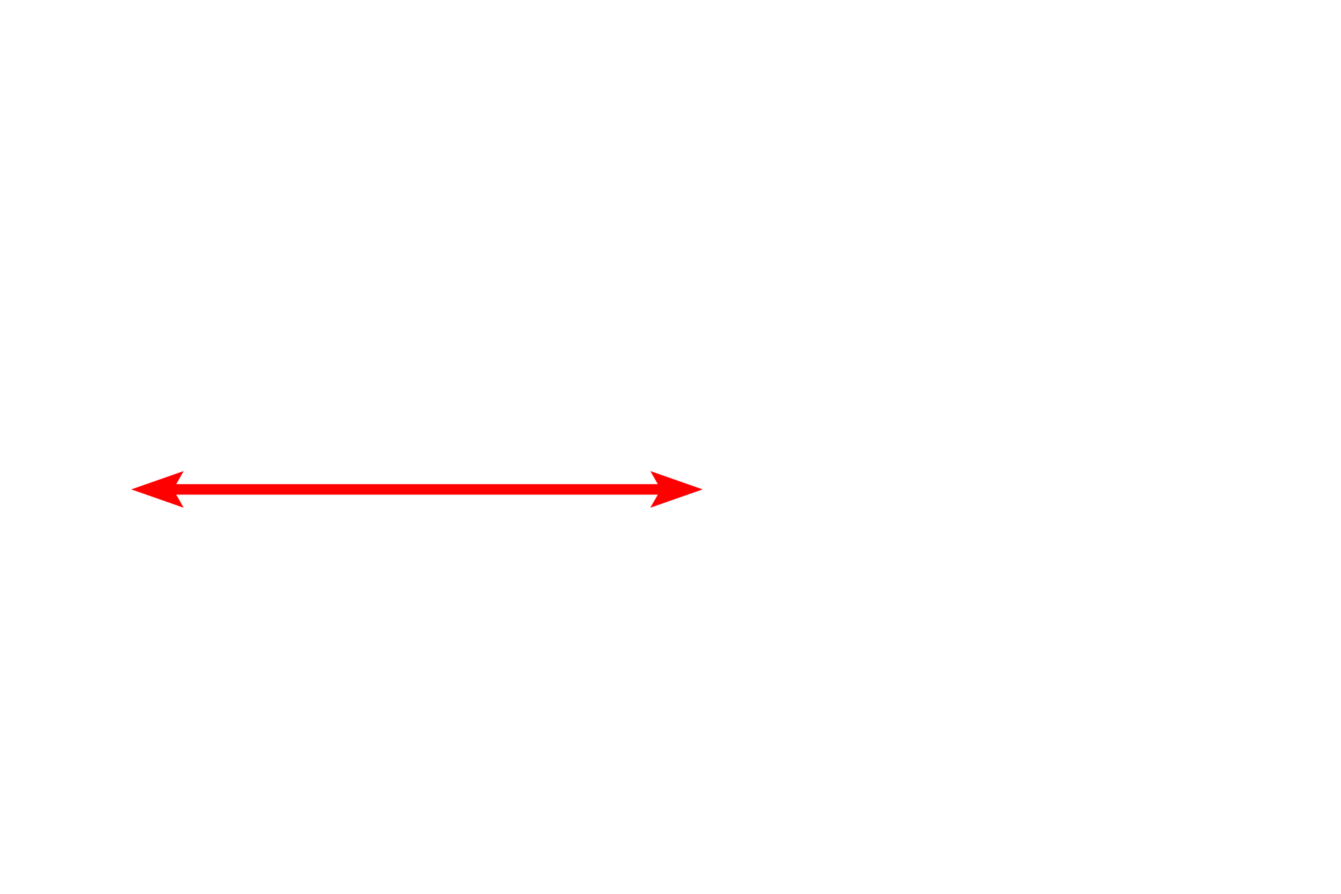 Schwann cell nucleus <p>One Schwann cell forms a segment, called an internode, of a myelin sheath around a portion of an axon.  The myelin sheath is formed by continuous, multiple wrappings of a Schwann cell plasma membrane, producing a lipid-rich insulation that increases conduction speed of nerve impulses.  The space between adjacent internodes is the node of Ranvier.  15,000x</p>
