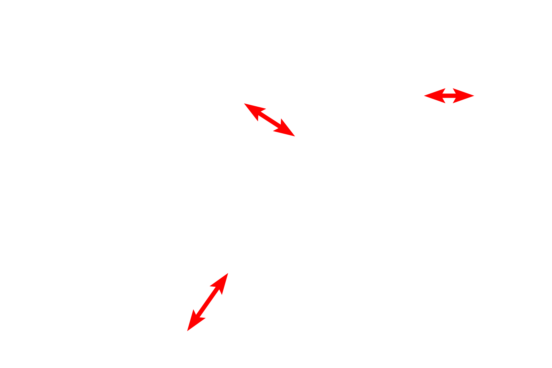 Myelin sheath <p>A freeze fracture electron micrograph shows an axon and its myelin sheath, fractured transversely.  This axon is surrounded by 10-15 wrappings of myelin derived from Schwann cell plasma membrane.  Visible in the axon are numerous small bumps representing microtubules.  Portions of uncompacted Schwann cell cytoplasm are also visible.  60,000x</p>
