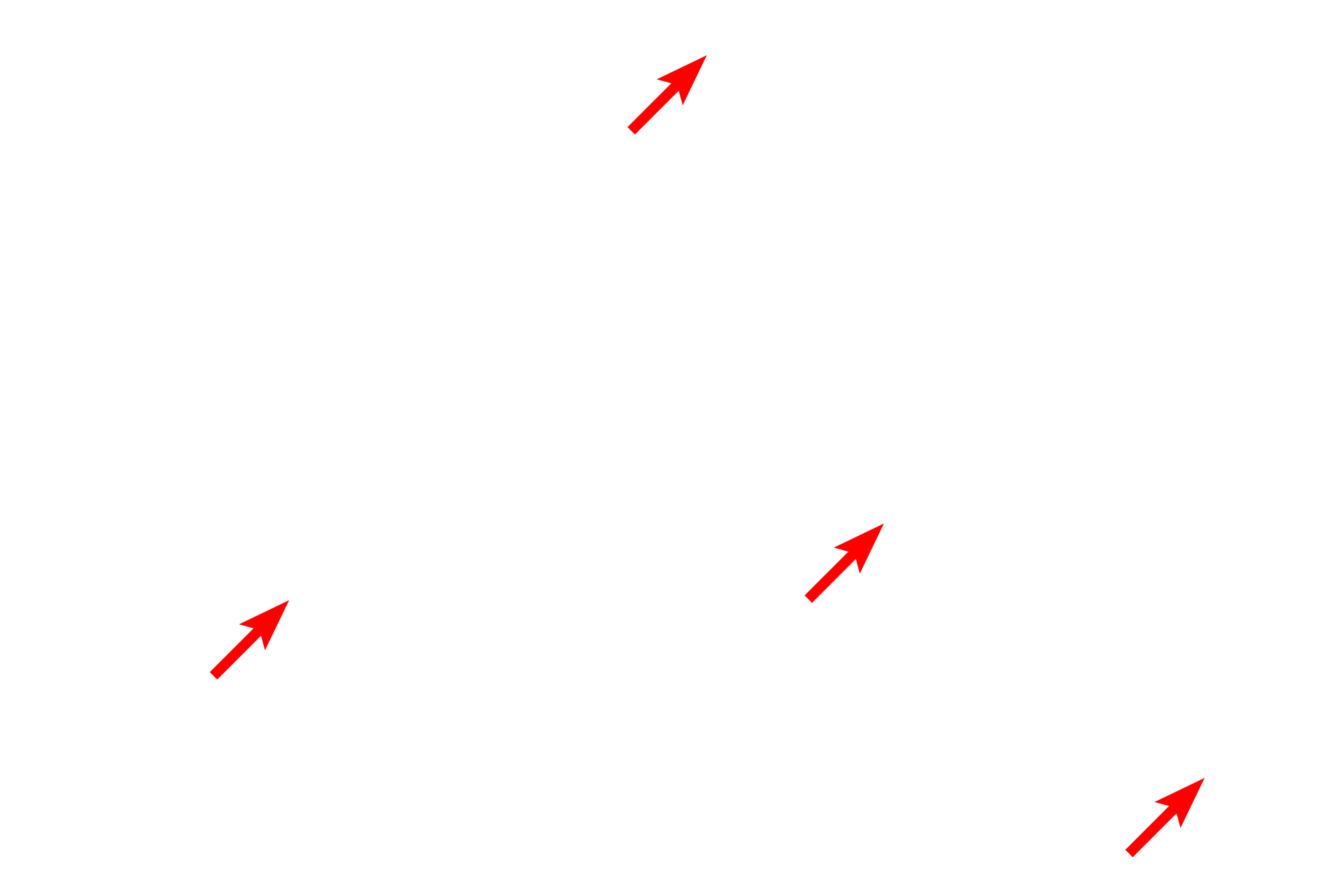 Myelin sheaths > <p>Myelin is an insulating wrapping of axons, produced by oligodendrocytes in the central nervous system.  This section is counterstained with Luxol fast blue which stains the myelin sheath turquoise-blue.</p>
