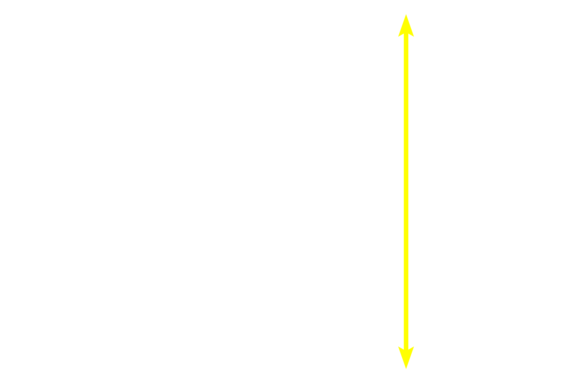 Lobule <p>A compound, tubuloacinar gland consists of both tubular and acinar secretory units and the gland is subdivided by connective tissue into lobules   Draining the secretory units are intralobular ducts, which are contained entirely within the lobule.  Interlobular ducts are located in the interlobular connective tissue and drain multiple lobules.  This gland is the submandibular (submaxillary) gland which is one of the major salivary glands.  Submandibular gland  40x</p>
