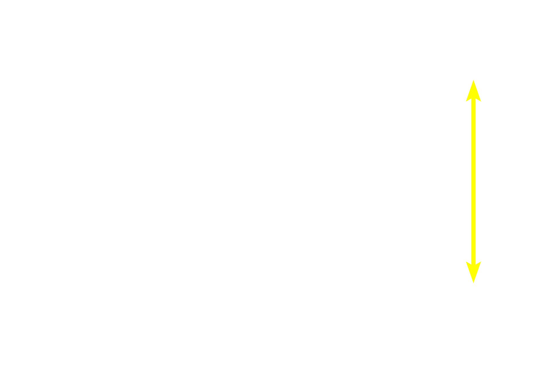 Interlobular connective tissue <p>The secretory units in this gland consist of spherical acini and elongated tubules.  Their secretions are immediately drained by intralobular ducts which flow into larger interlobular ducts located in the interlobular connective tissue between lobules.  Interlobular ducts are often lined by a stratified columnar epithelium.  Submandibular gland 400x</p>
