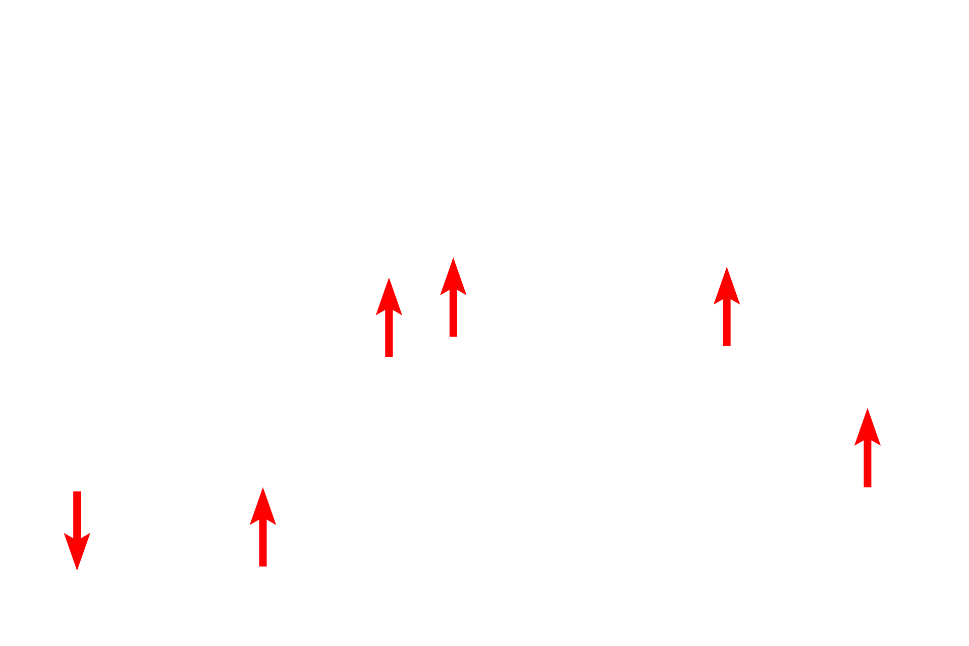  - Tubule cell nuclei <p>Mucous secreting cells are foamy in appearance with flattened, basally located nuclei.  They are arranged in tubules with wide lumens.</p>
