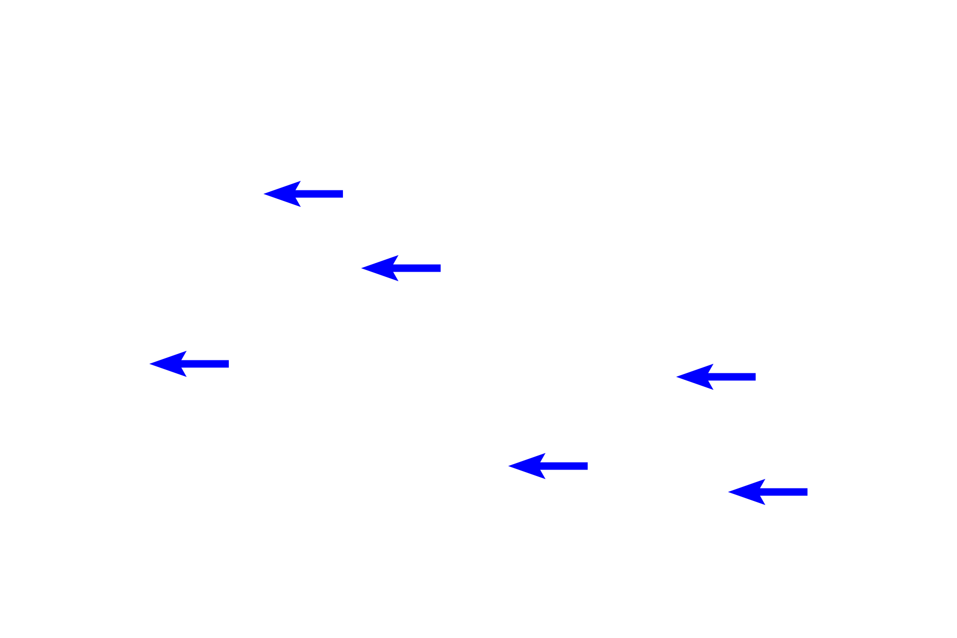 Mucus-secreting tubules <p>In this compound tubuloacinar gland the mucus-secreting tubules far outnumber serous acini.  Serous acini are less numerous, and many serous-secreting cells are located in serous demilunes.  Sublingual gland  100x</p>
