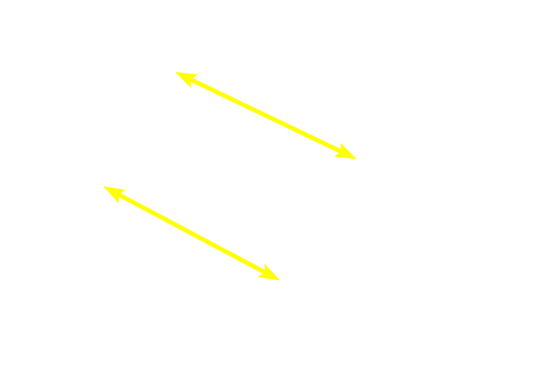 Lobules > <p>A compound gland is subdivided by connective tissue septa into lobules containing the secretory units, intralobular ducts and intralobular connective tissue.  In this parotid salivary gland, the secretory units consist entirely of secretory acini (alveoli) and thus is an example of compound acinar gland, secreting a entirely serous product.</p>
