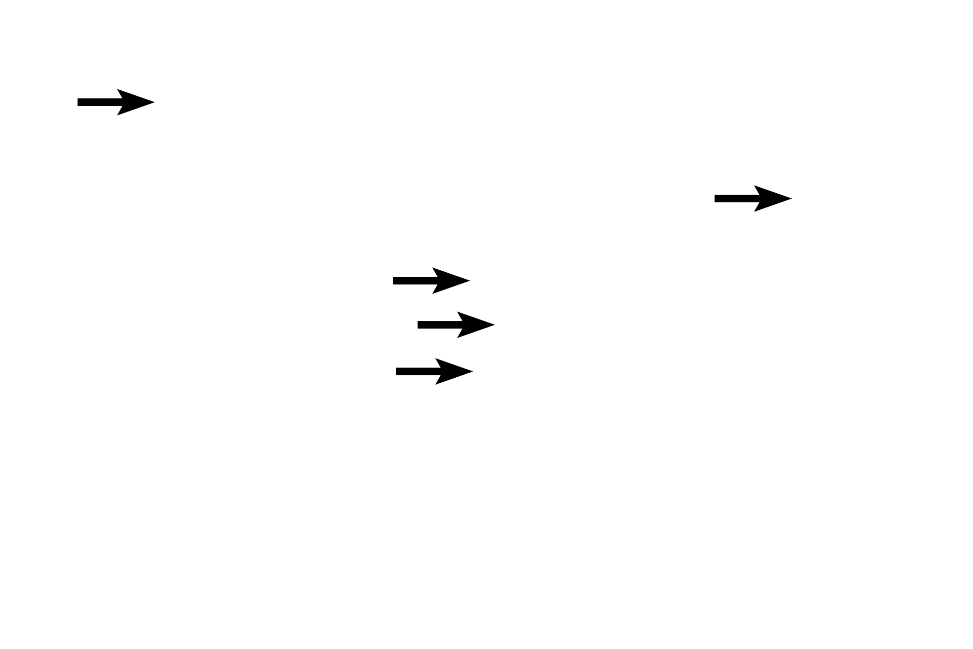  - Secretory granules <p>Exocrine cells are polarized to secrete toward an epithelial surface.  Basal rough endoplasmic reticulum synthesizes proteins that are packaged as secretory granules located in the apex of each cell.  Contents of secretory granules are released into the acinar lumen by the merocrine mode of secretion.  Pancreas  1000x</p>
